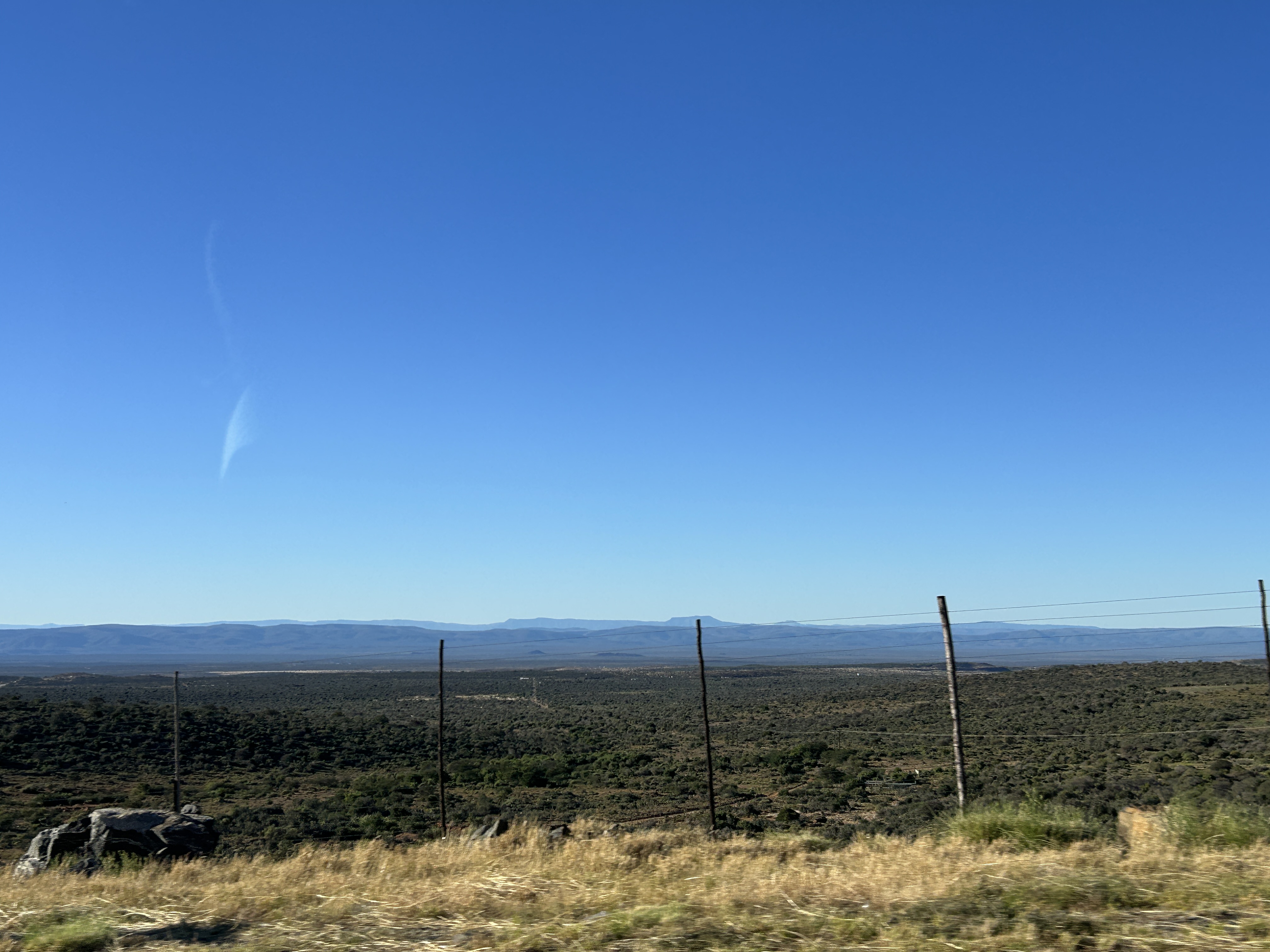 IMG_1834.jpeg