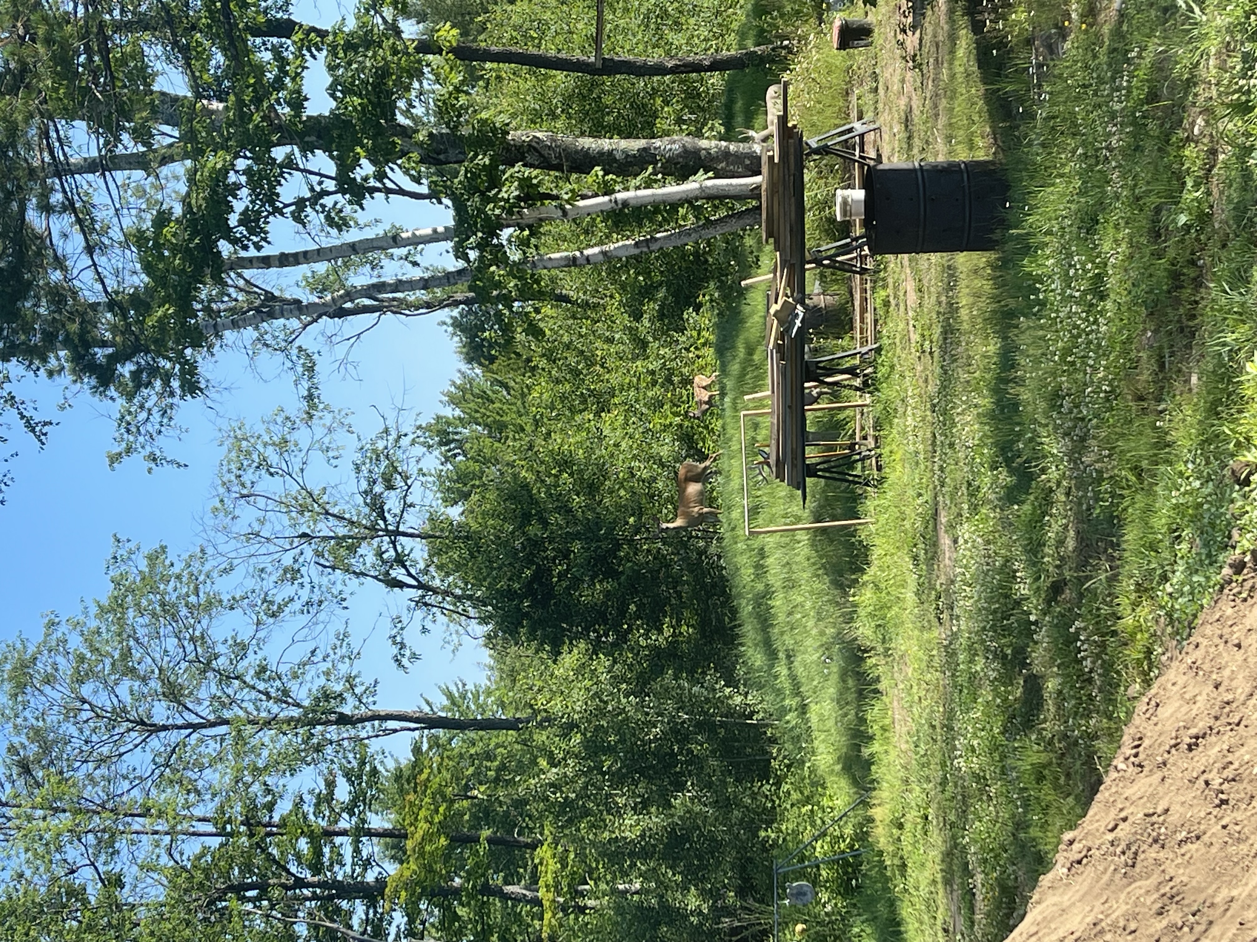 IMG_1863.jpeg