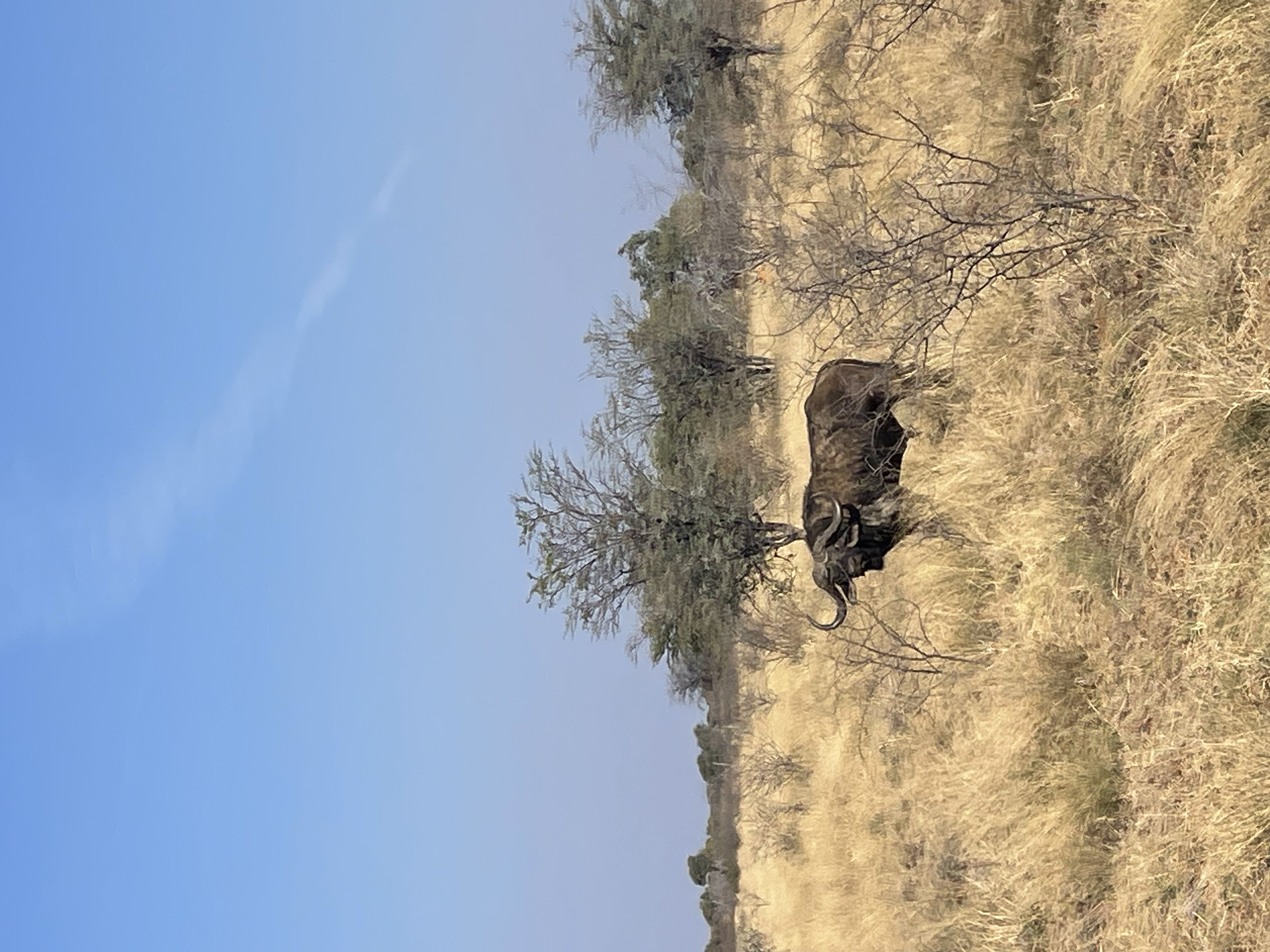 IMG_1886.jpeg