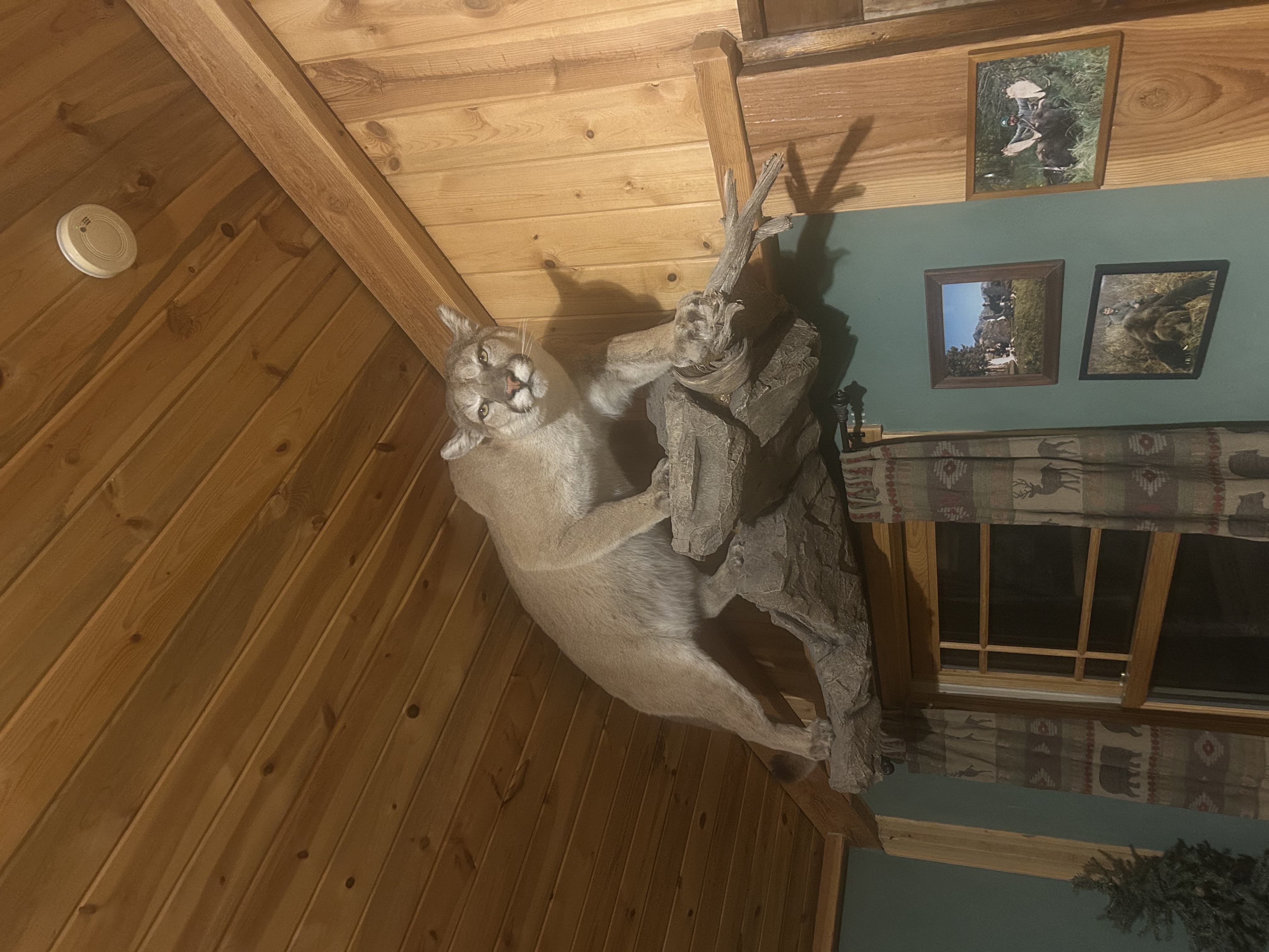 IMG_1987.jpeg