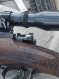 IMG_1996.jpeg