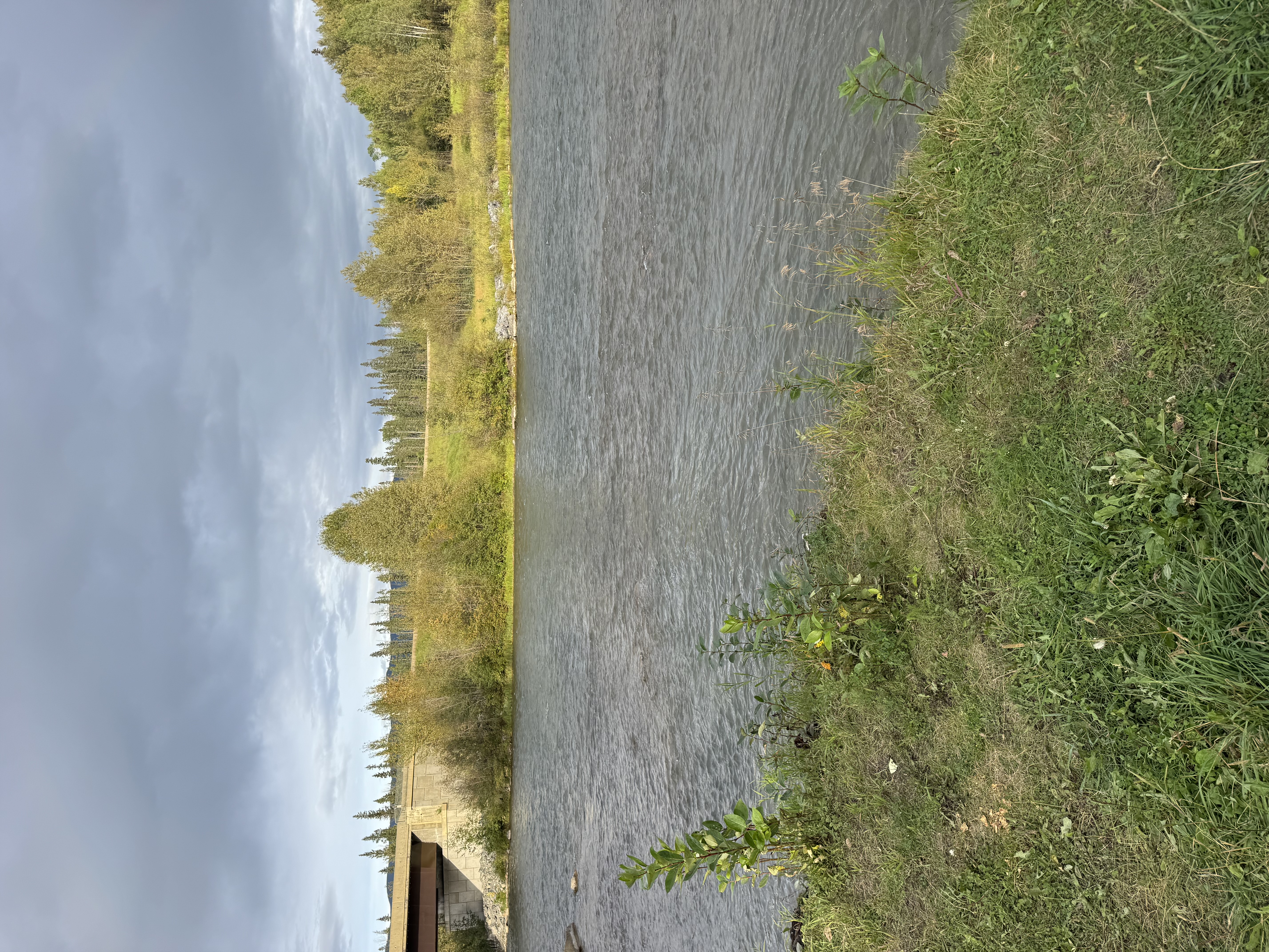 IMG_2001.jpeg