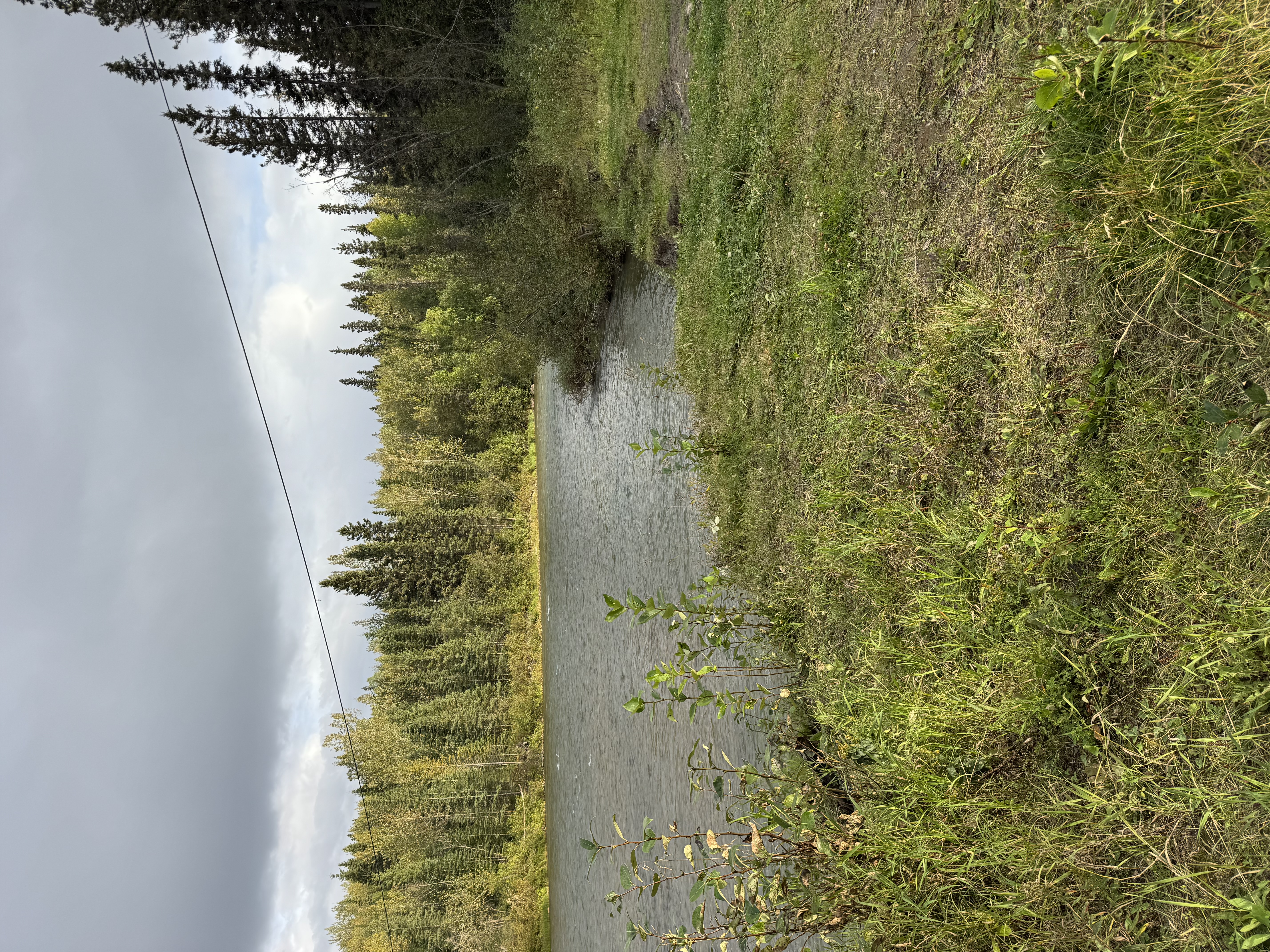 IMG_2002.jpeg