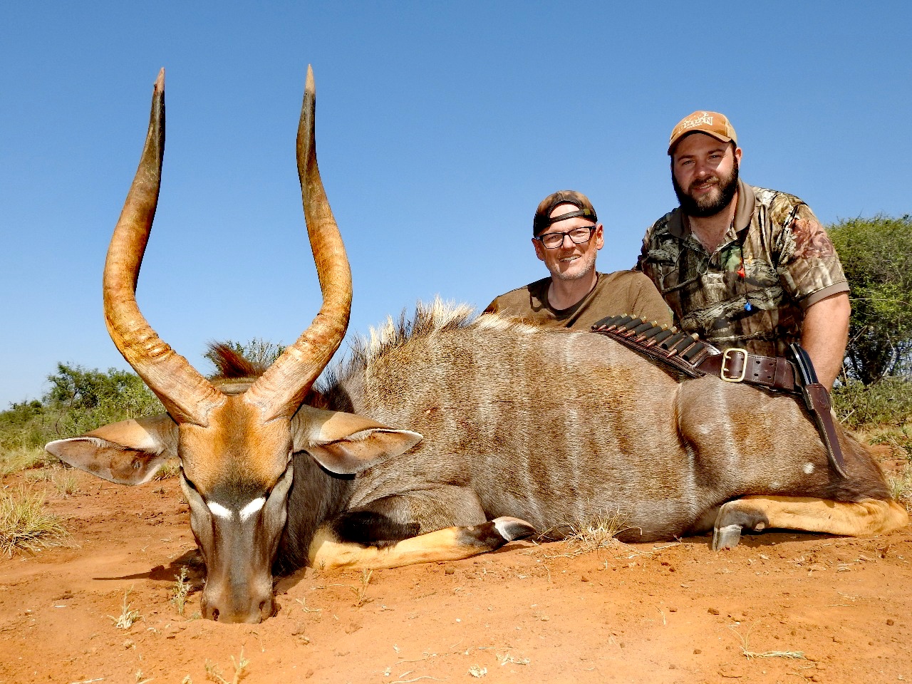 IMG_20190404_180748.jpg IMG_20190404_180748.jpg