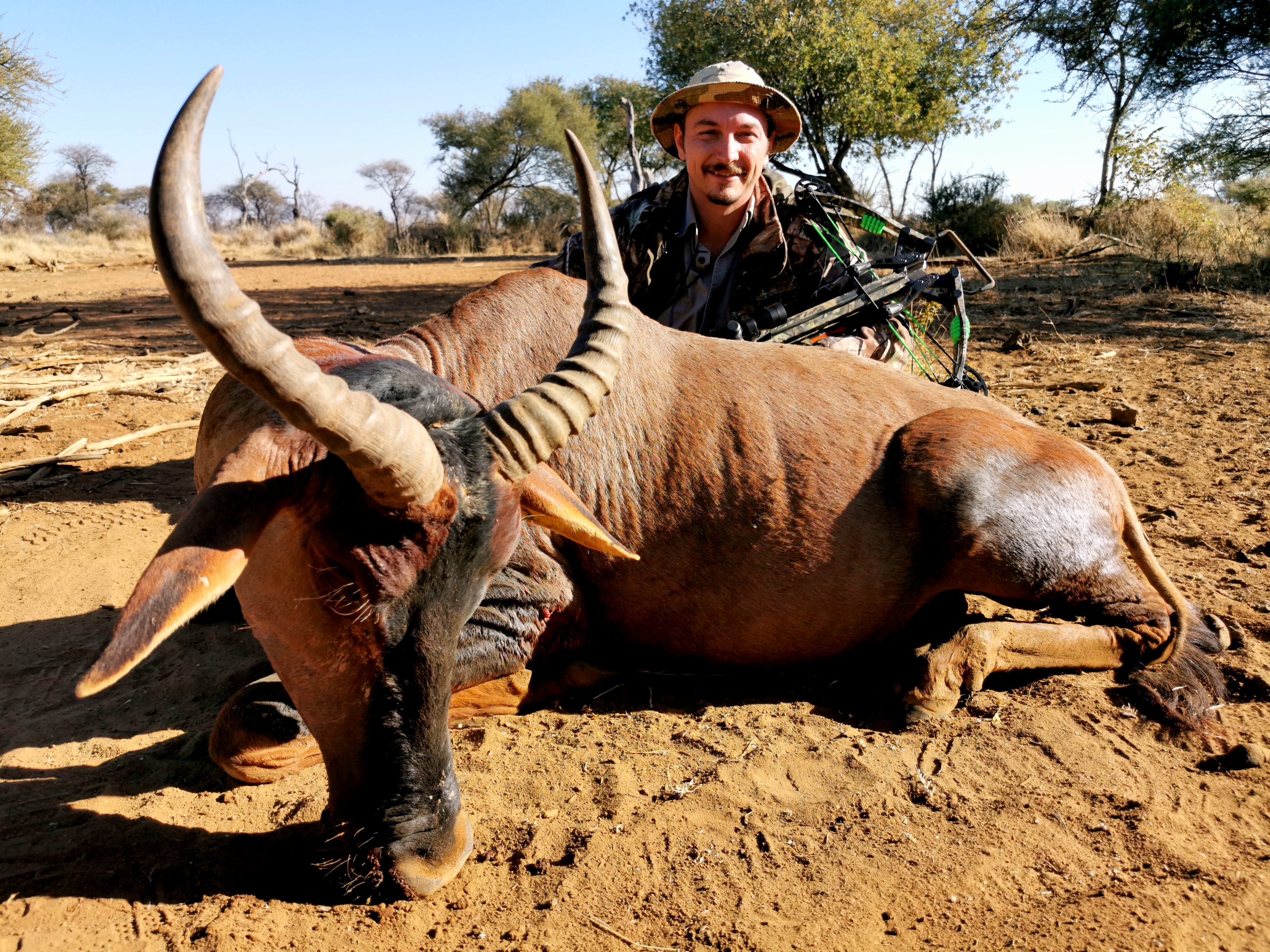 IMG_20190706_153055.jpg IMG_20190706_153055.jpg