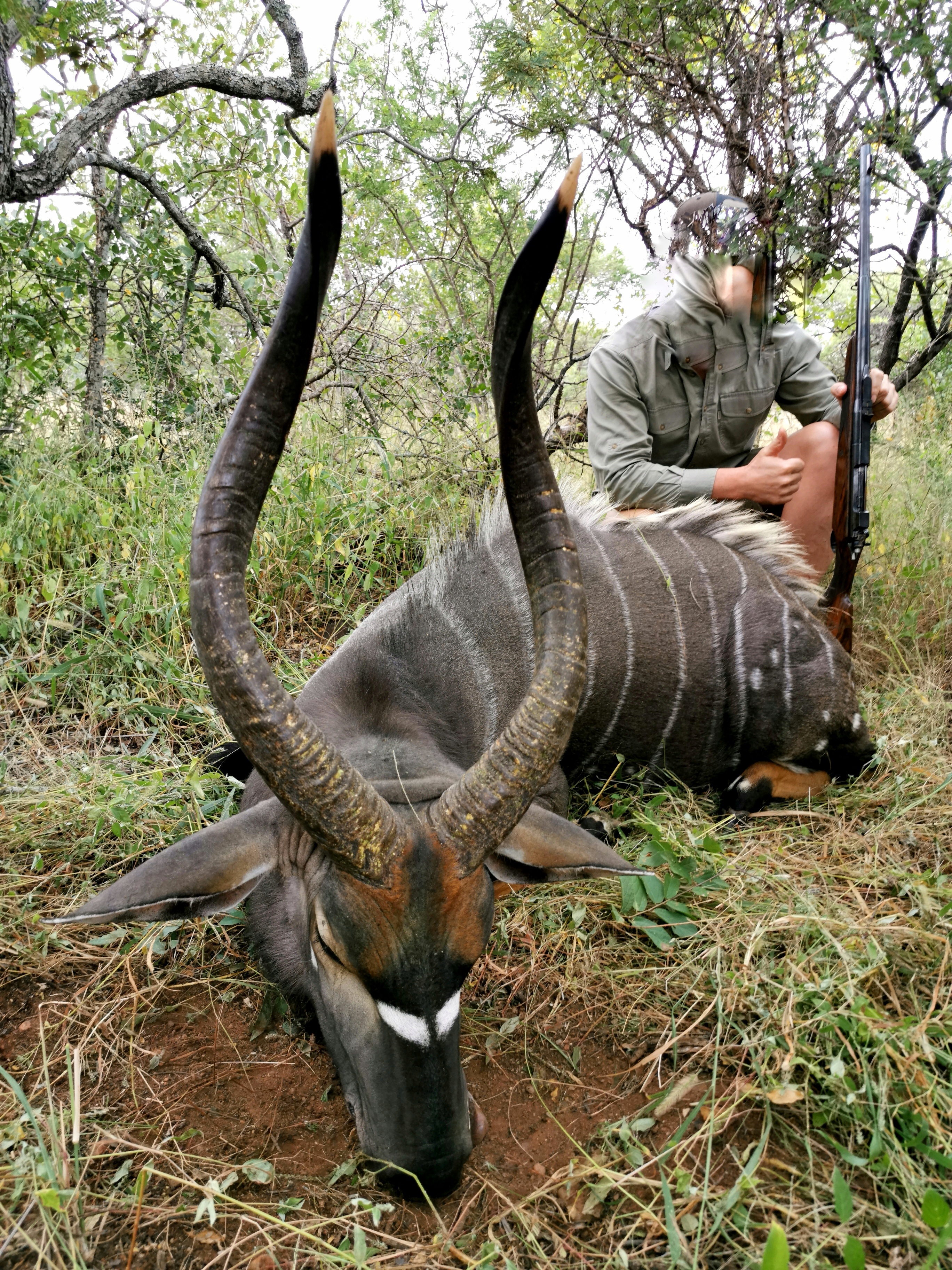 IMG_20200323_074757-01.jpeg IMG_20200323_074757-01.jpeg