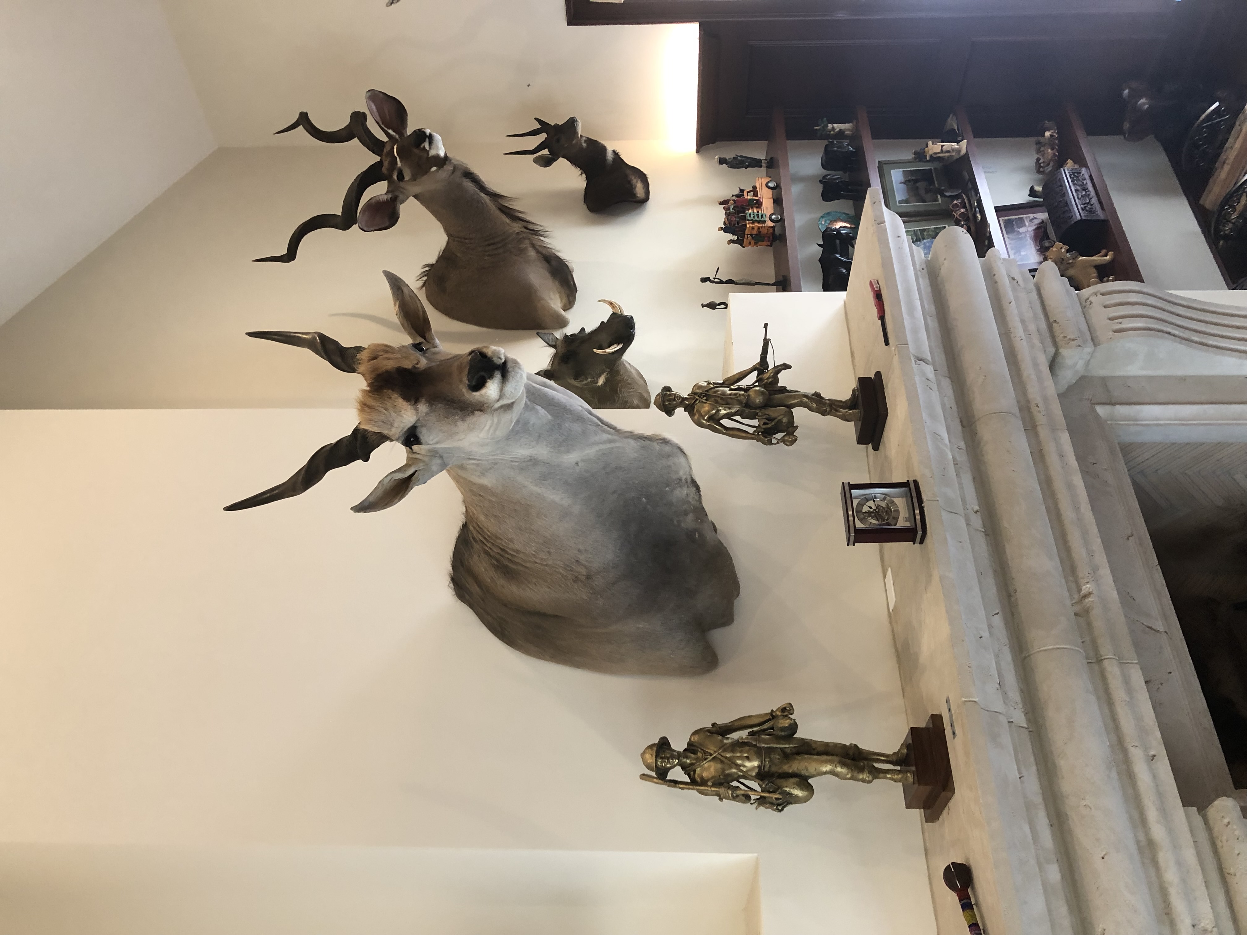 IMG_2181.jpeg