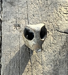 IMG_2340.jpeg