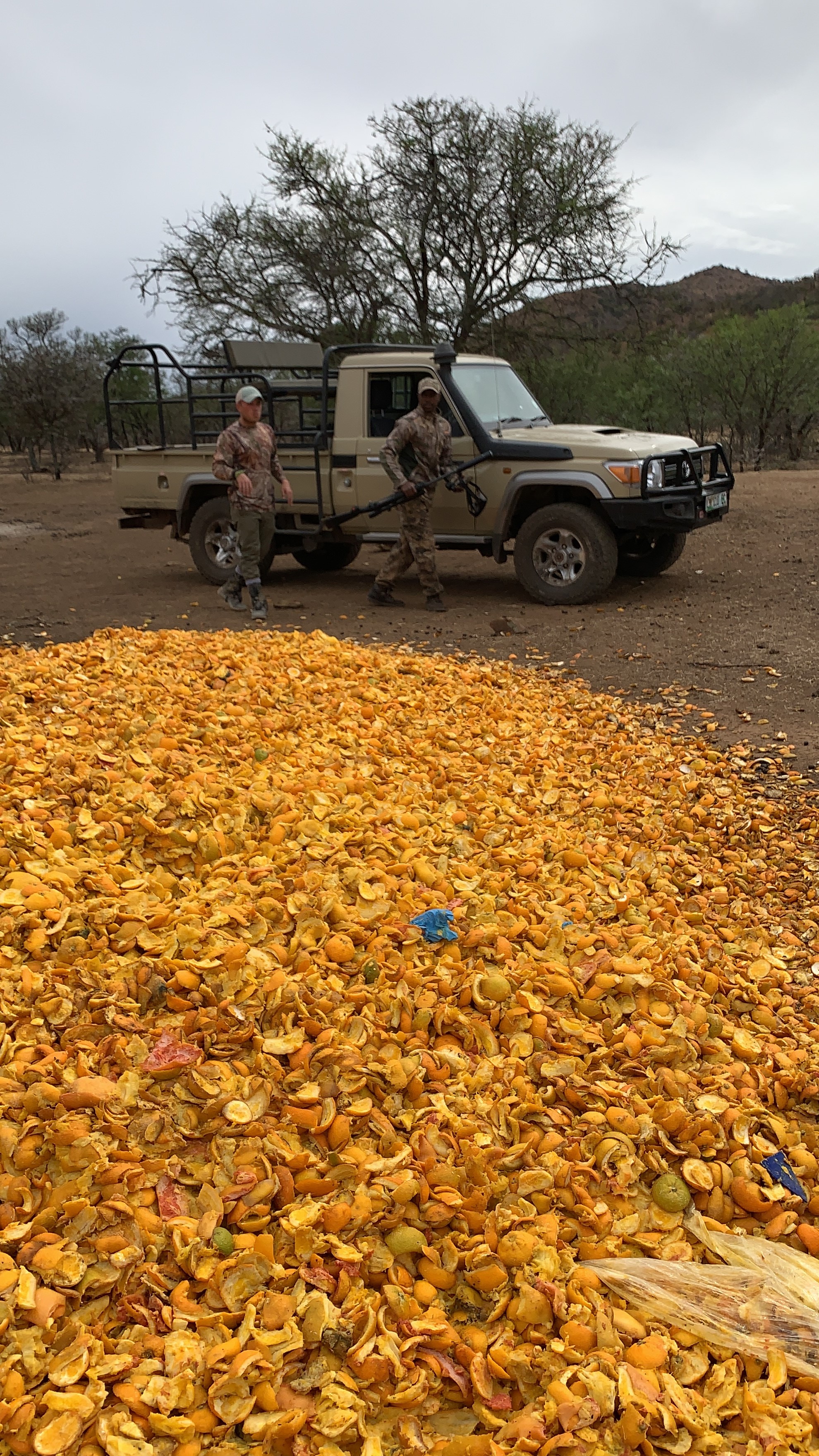 huntershill safaris photos