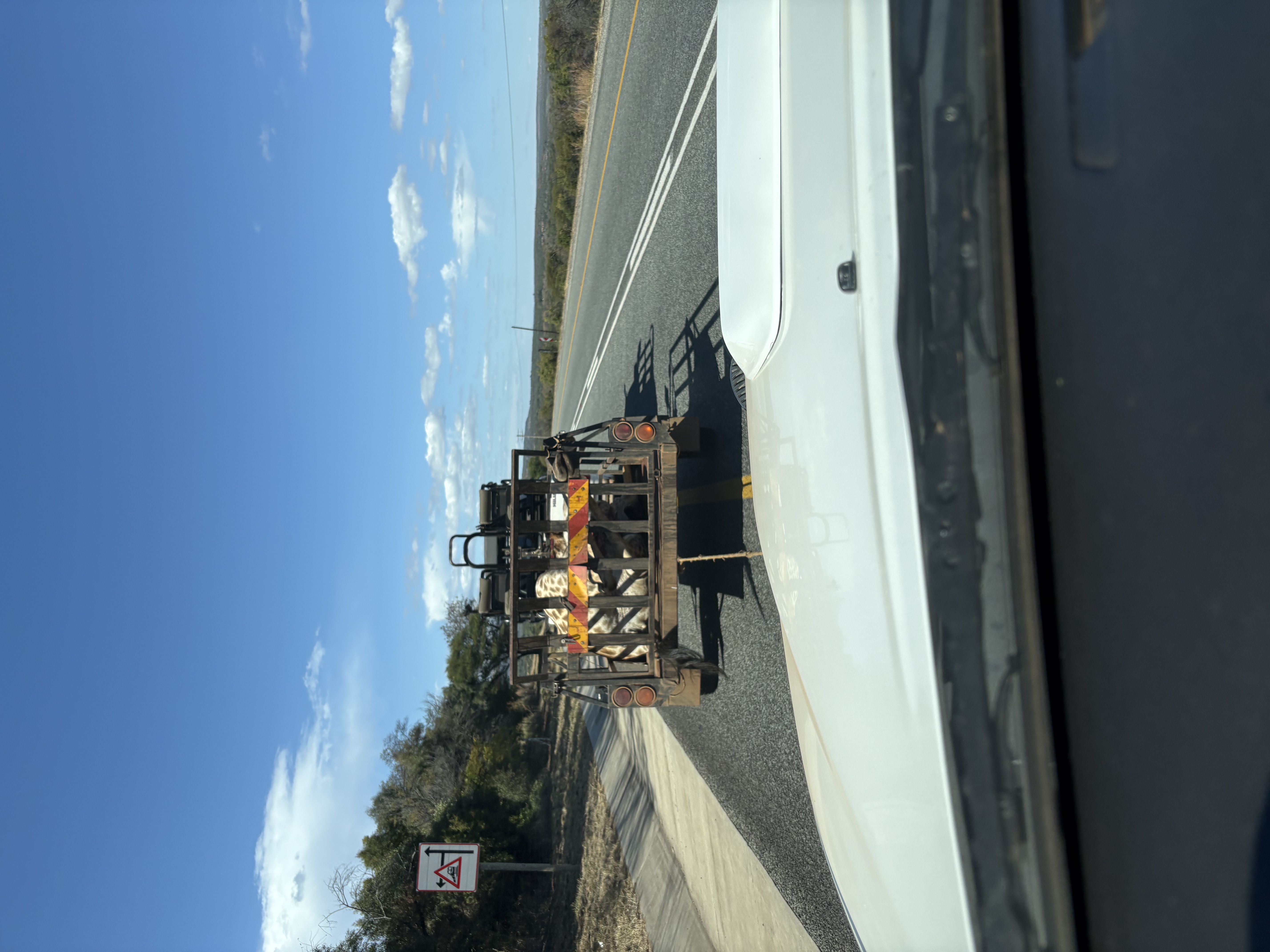 IMG_2603.jpeg