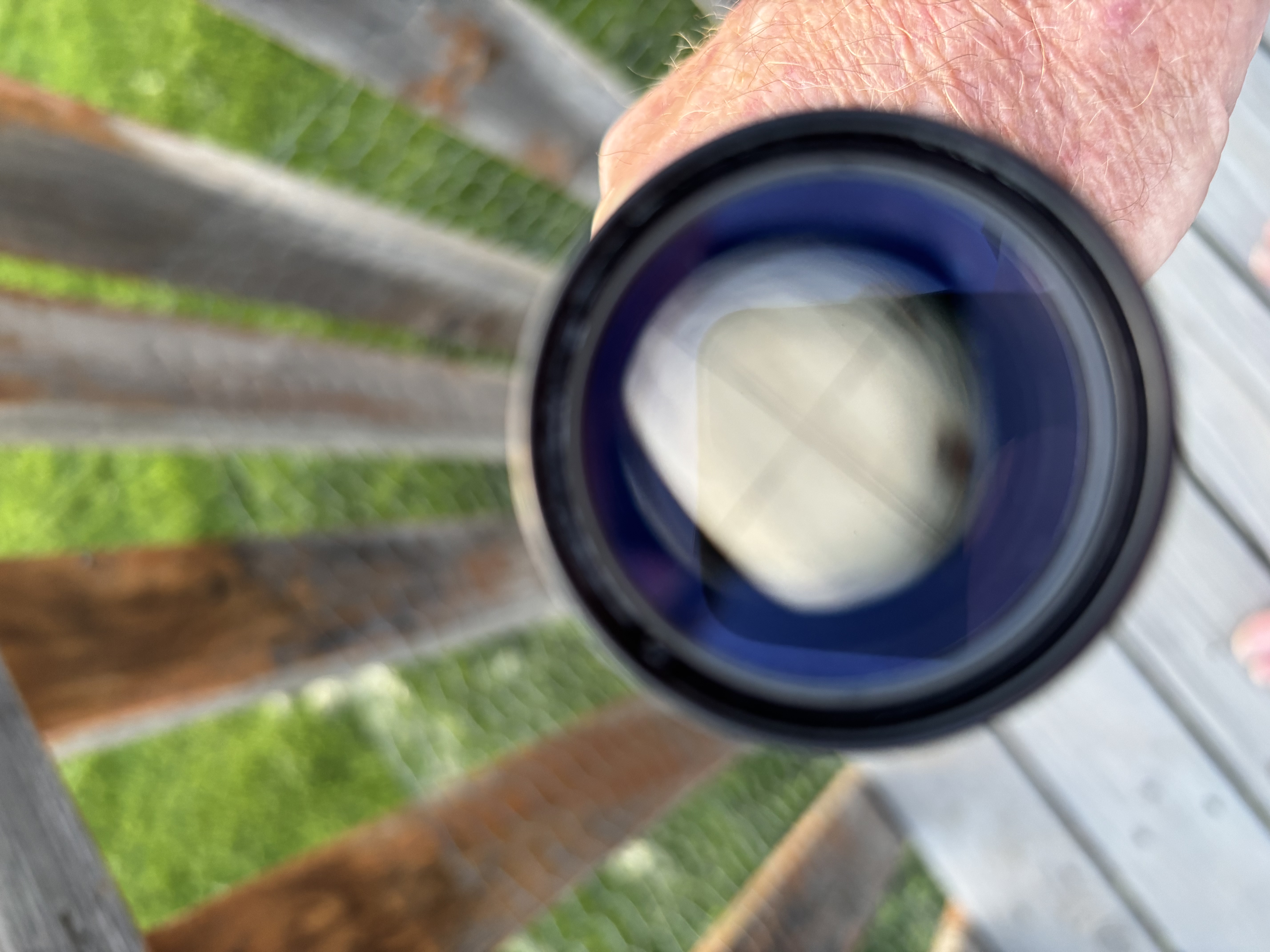IMG_2678.jpeg
