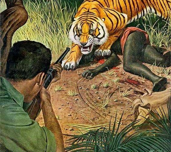 The Burning of Bengal Tiger, Bengal Tiger was founded in 19…