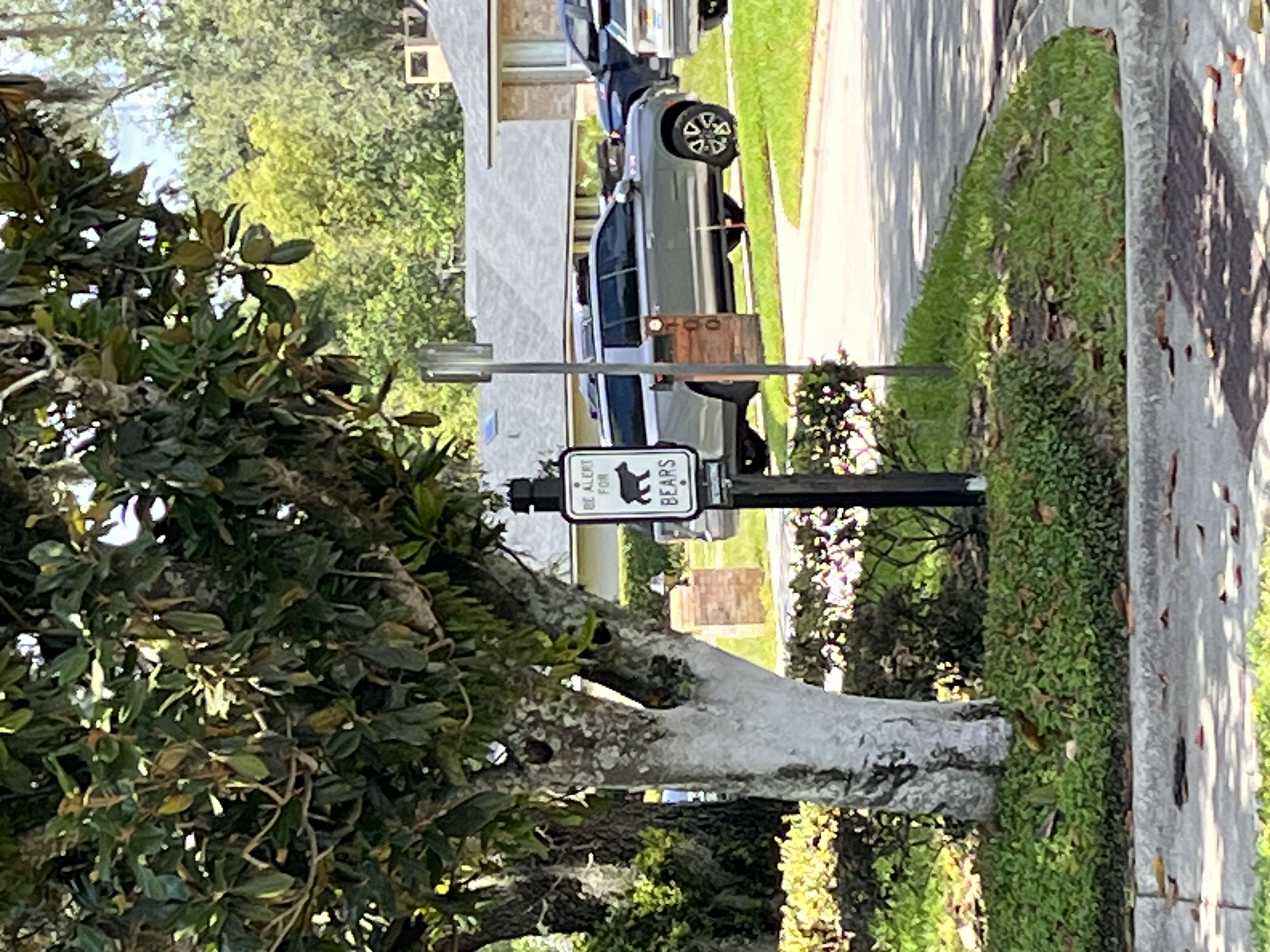 IMG_2785.jpeg