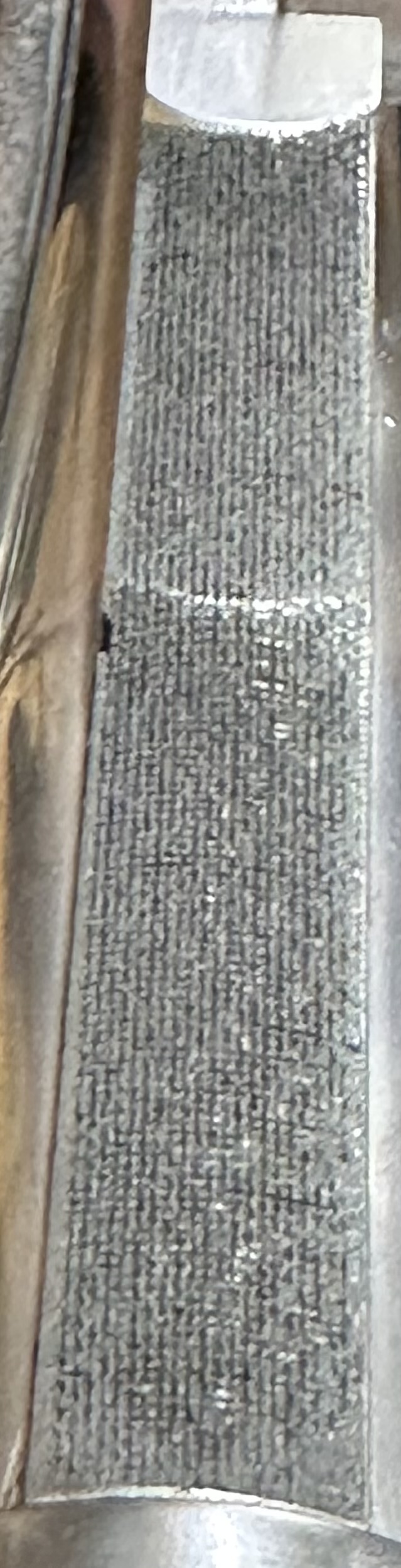 IMG_2813.jpeg