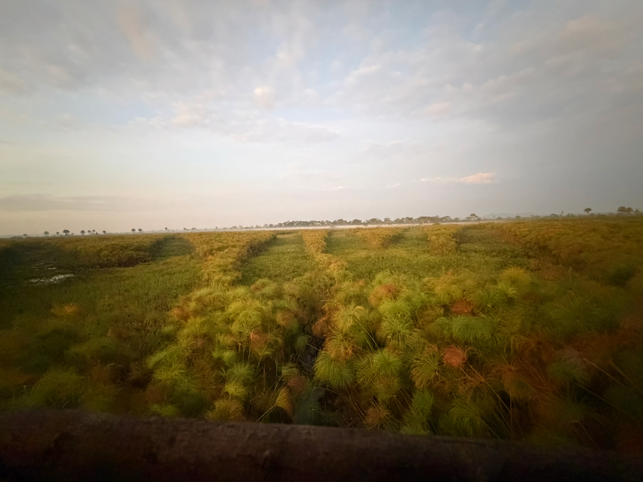 IMG_2899.jpeg