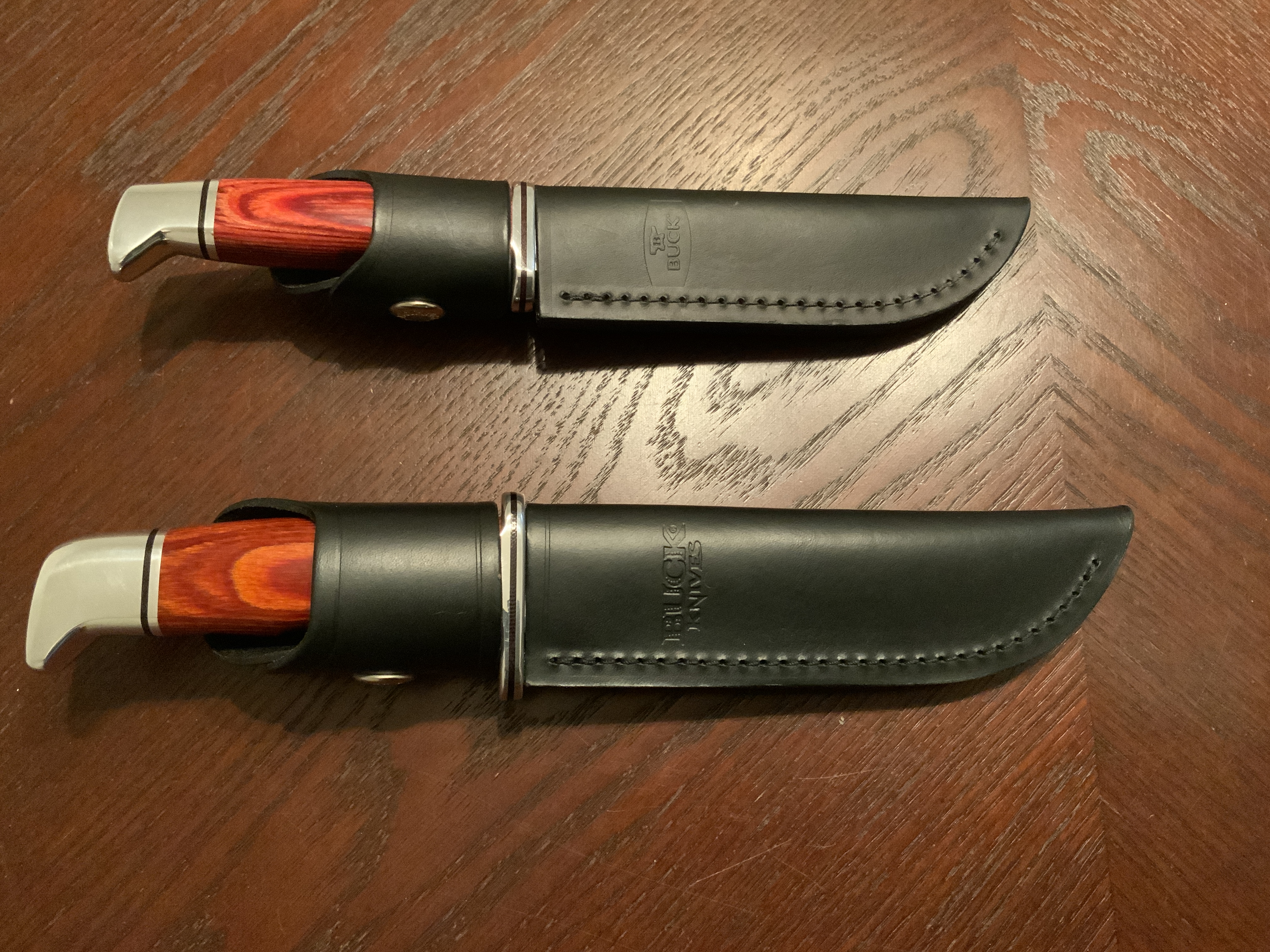 IMG_2910.jpeg IMG_2910.jpeg