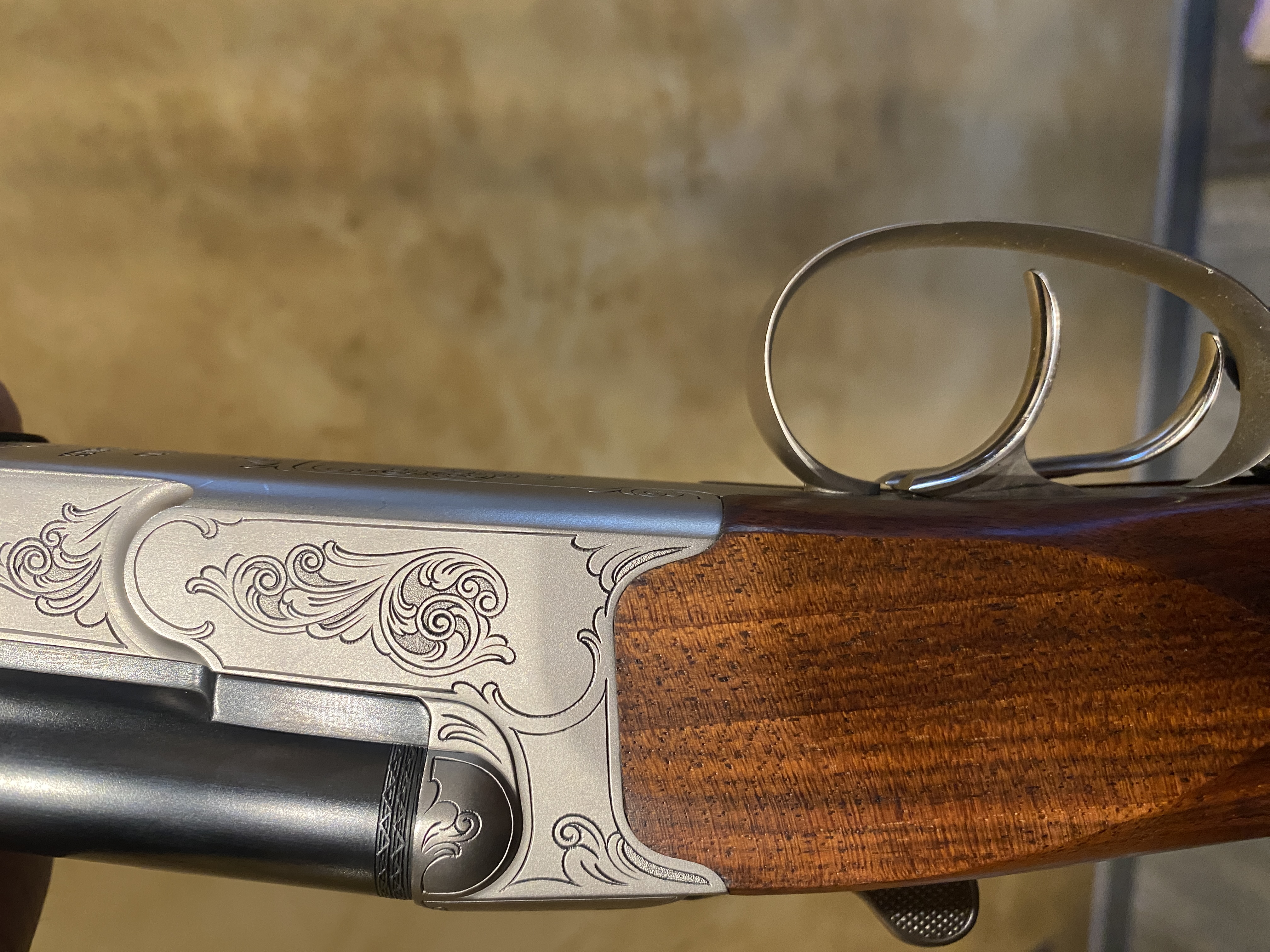 IMG_2961.jpeg IMG_2961.jpeg