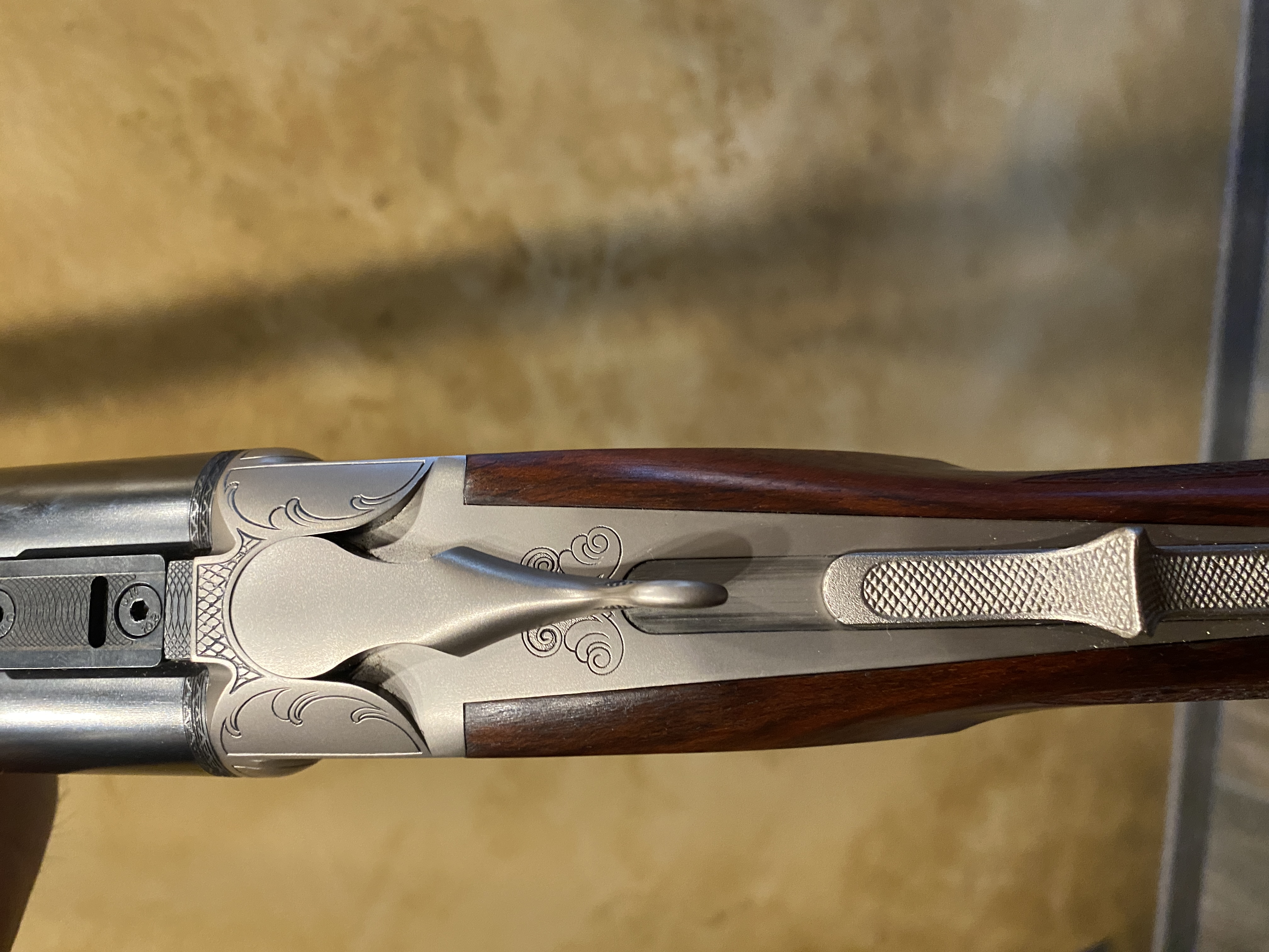 IMG_2963.jpeg IMG_2963.jpeg