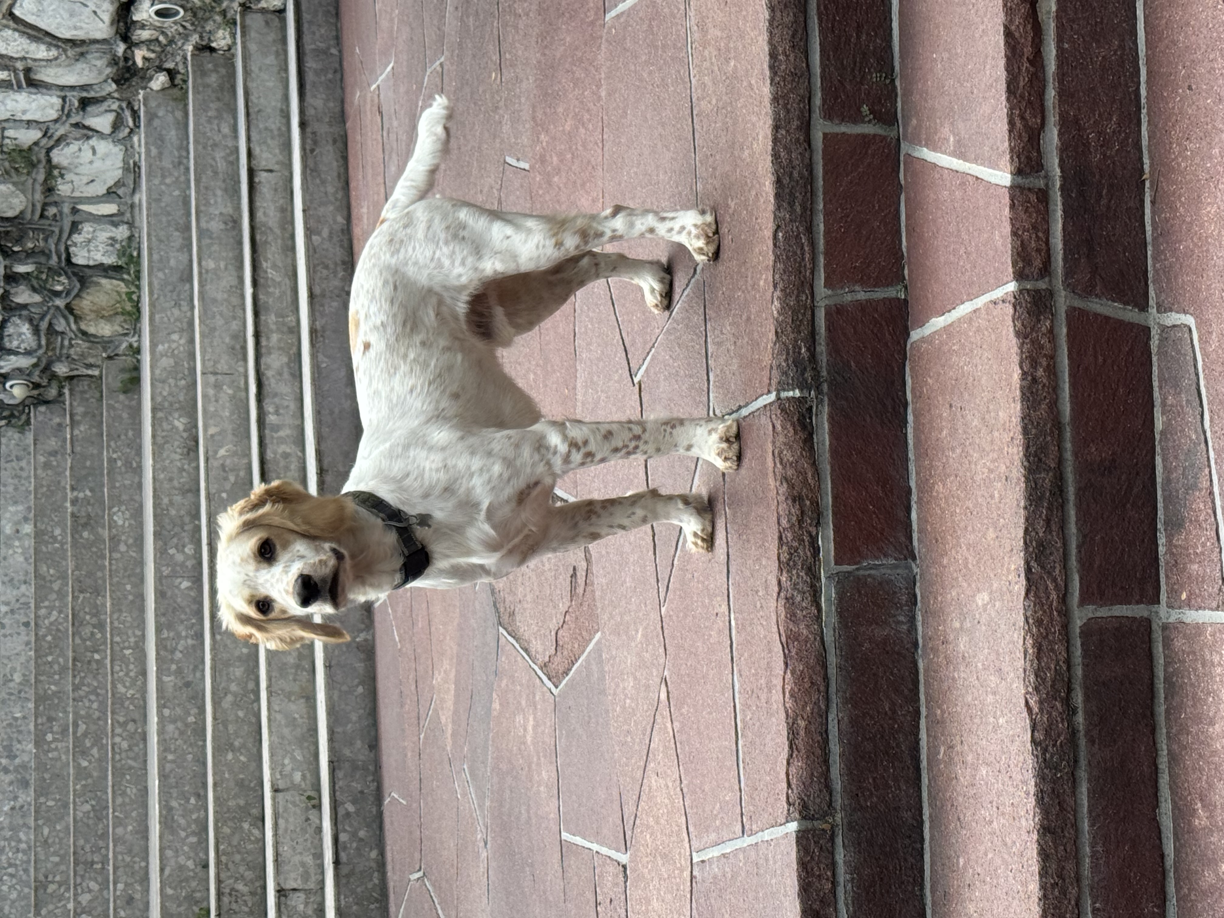 IMG_3094.jpeg