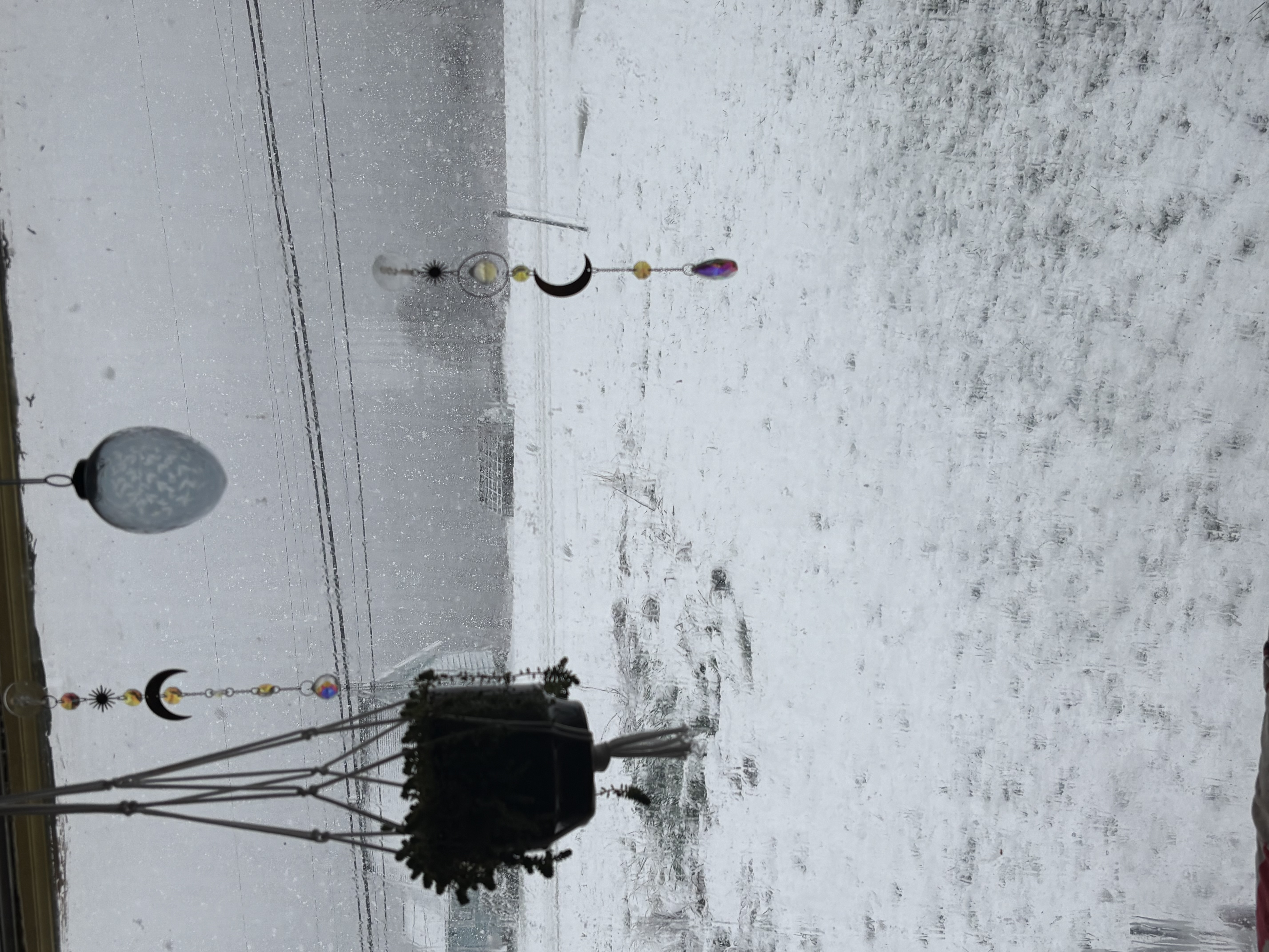 IMG_3247.jpeg
