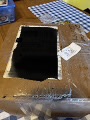 IMG_3413.jpeg