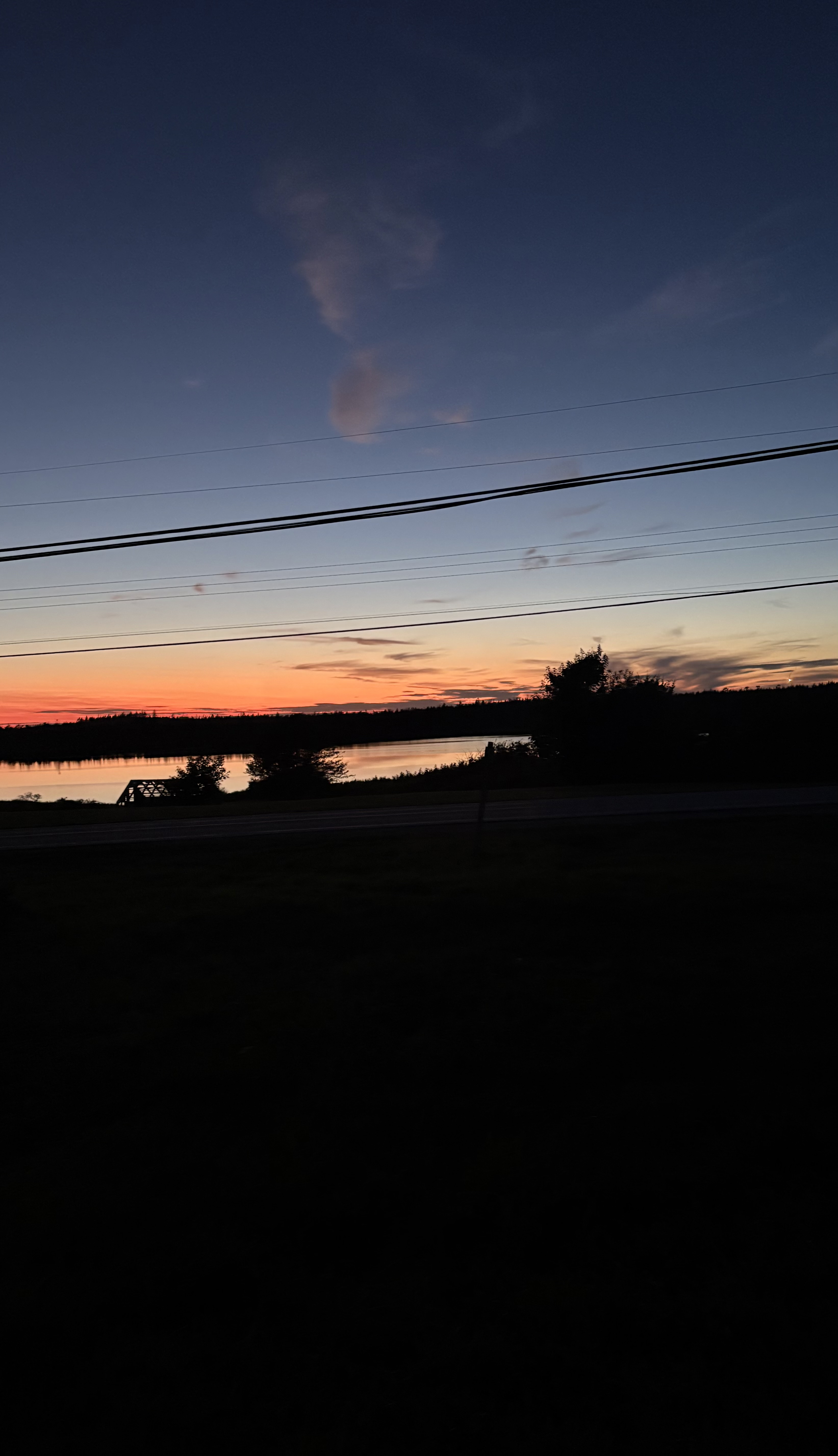 IMG_3522.jpeg