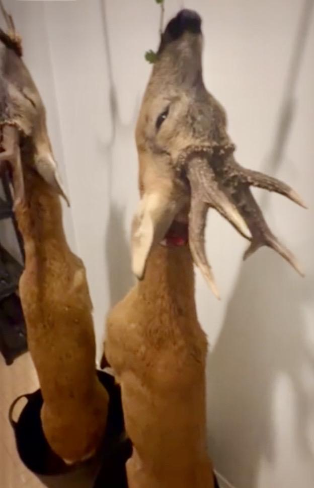 IMG_3639.jpeg