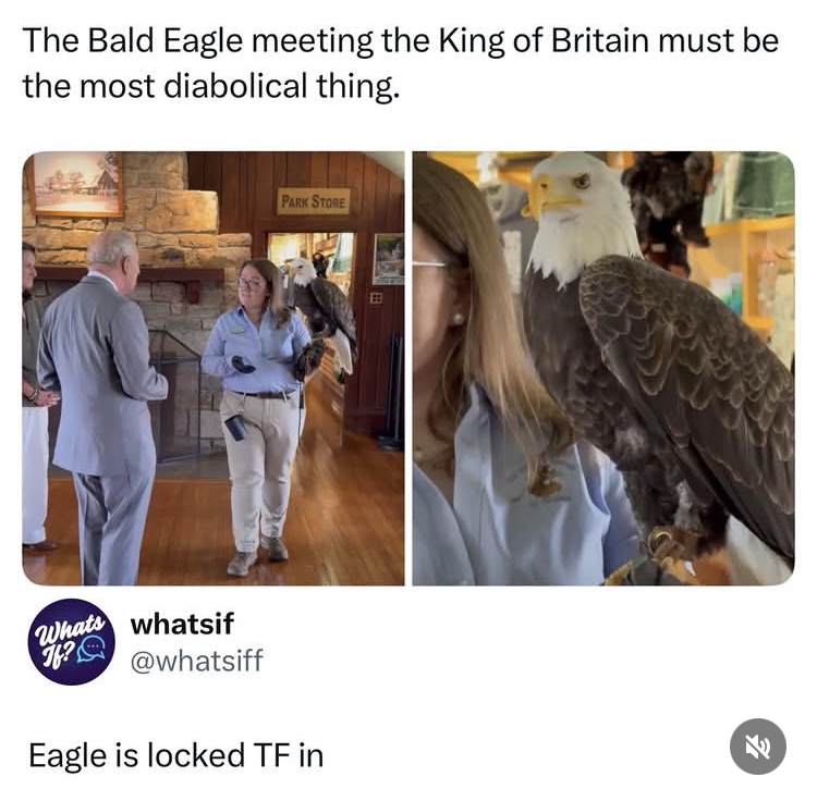 IMG_3660.jpeg