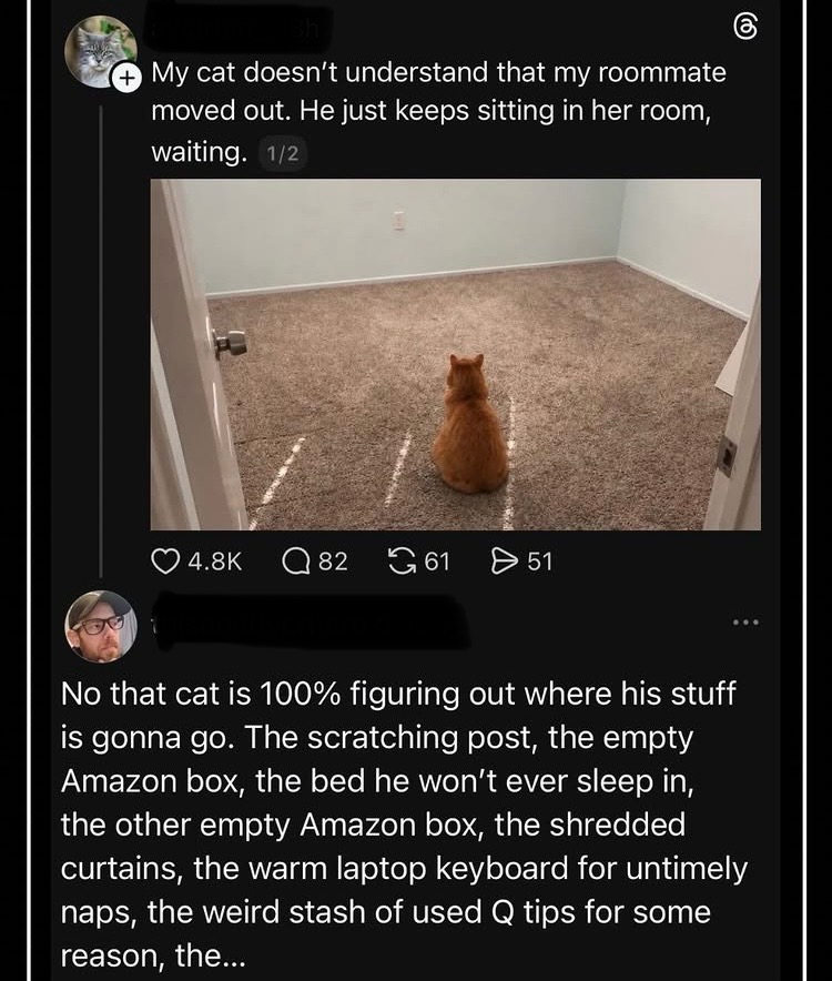 IMG_3709.jpeg