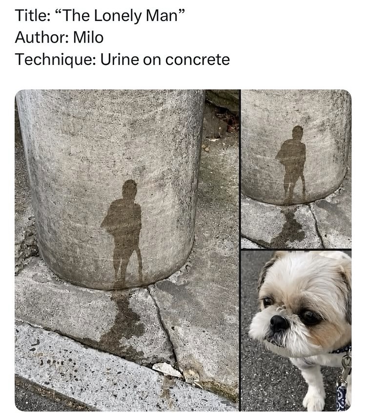 IMG_3711.jpeg