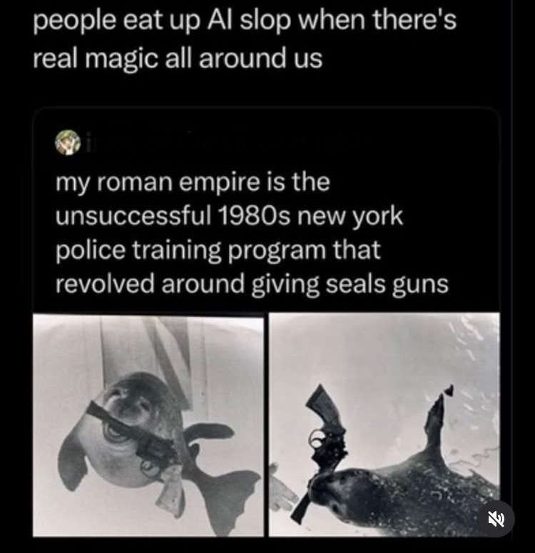 IMG_3719.jpeg