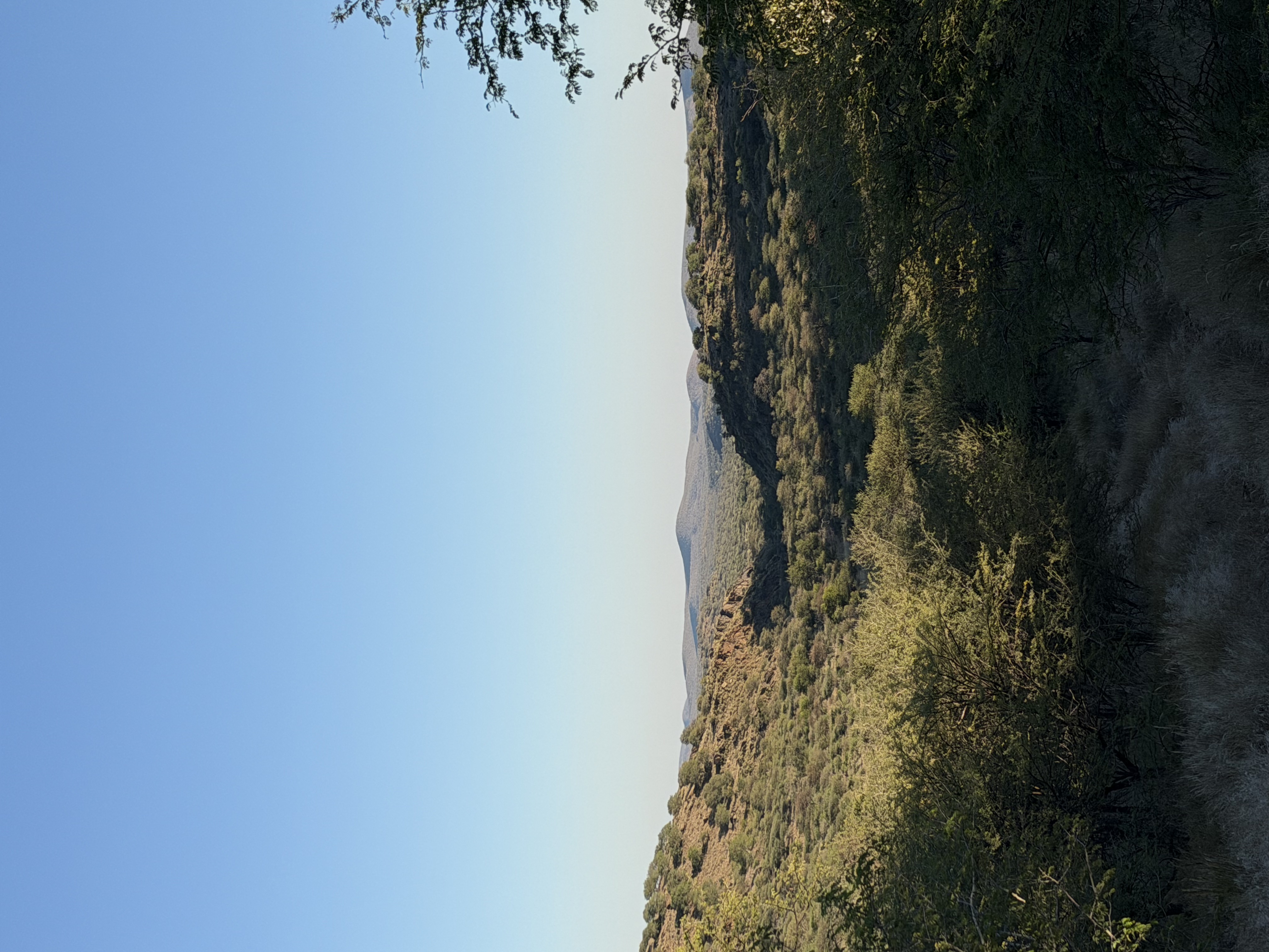 IMG_3724.jpeg