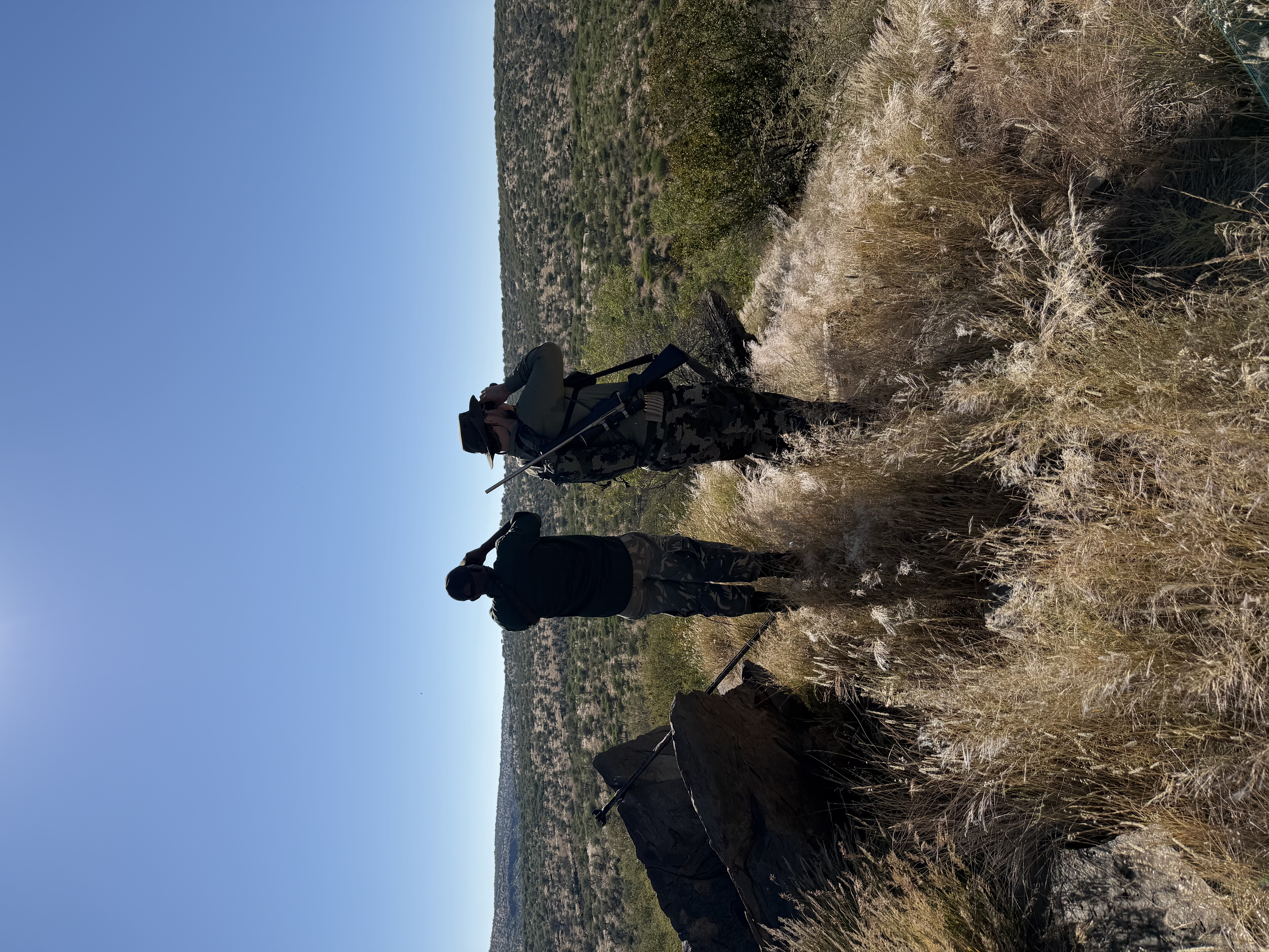 IMG_3728.jpeg