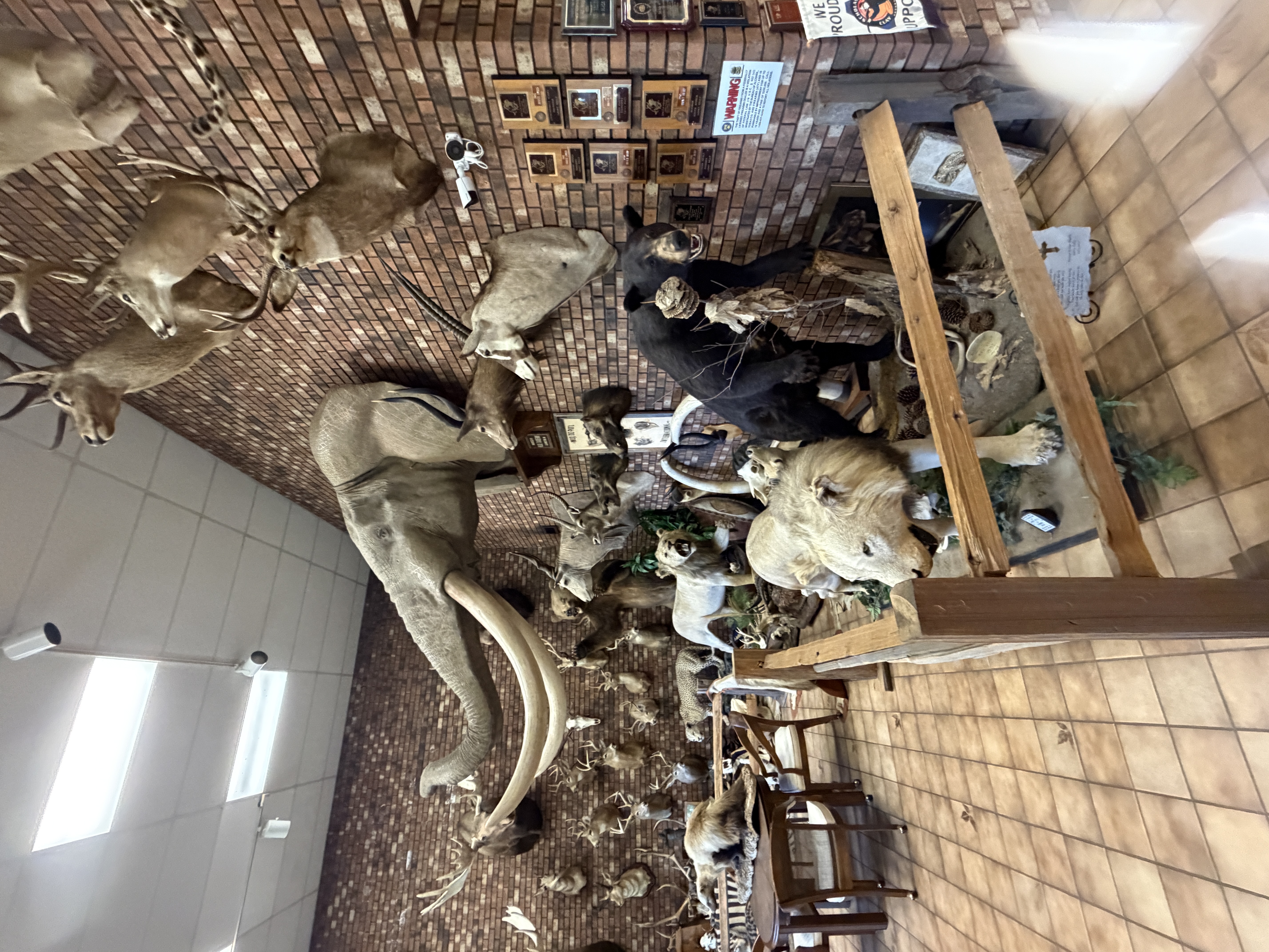 IMG_3734.jpeg