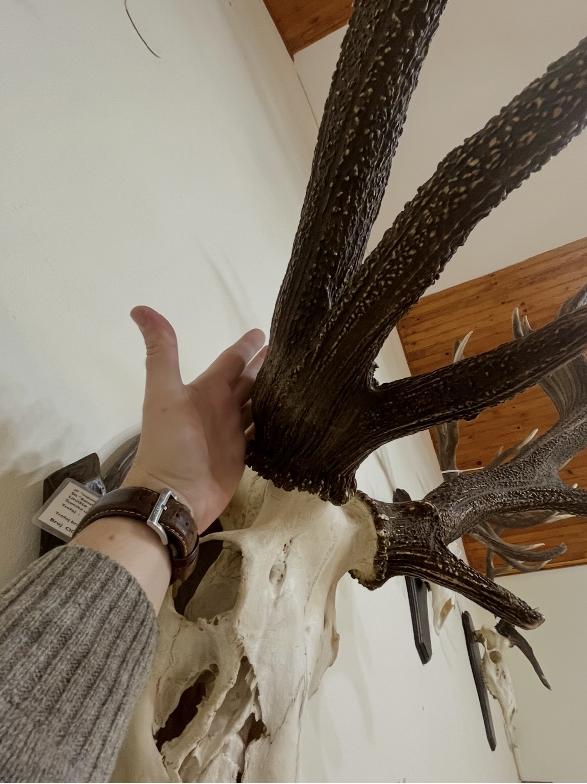 IMG_3792.jpeg