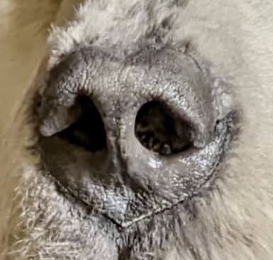 IMG_3873.jpeg