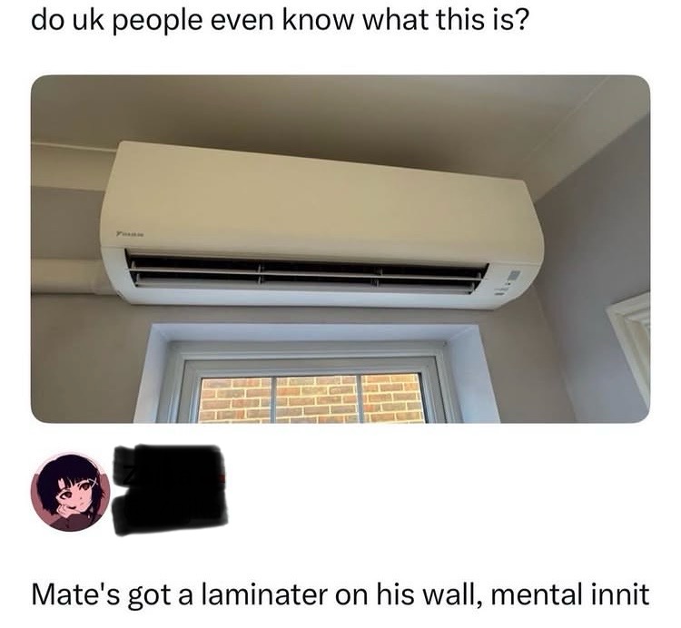 IMG_3923.jpeg