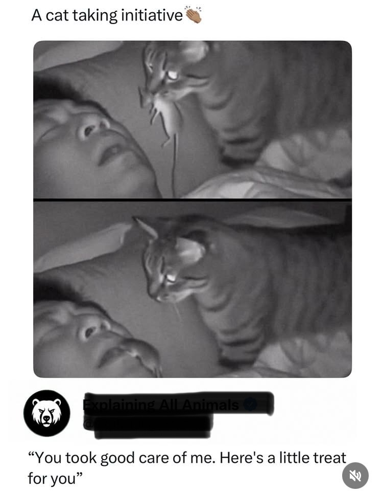 IMG_3963.jpeg