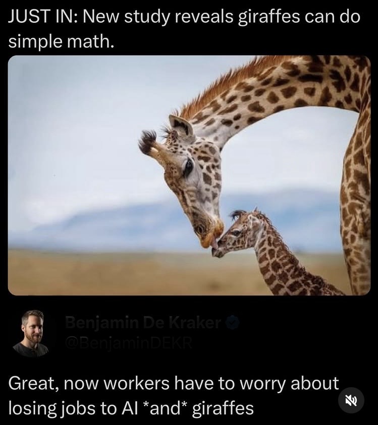 IMG_4040.jpeg