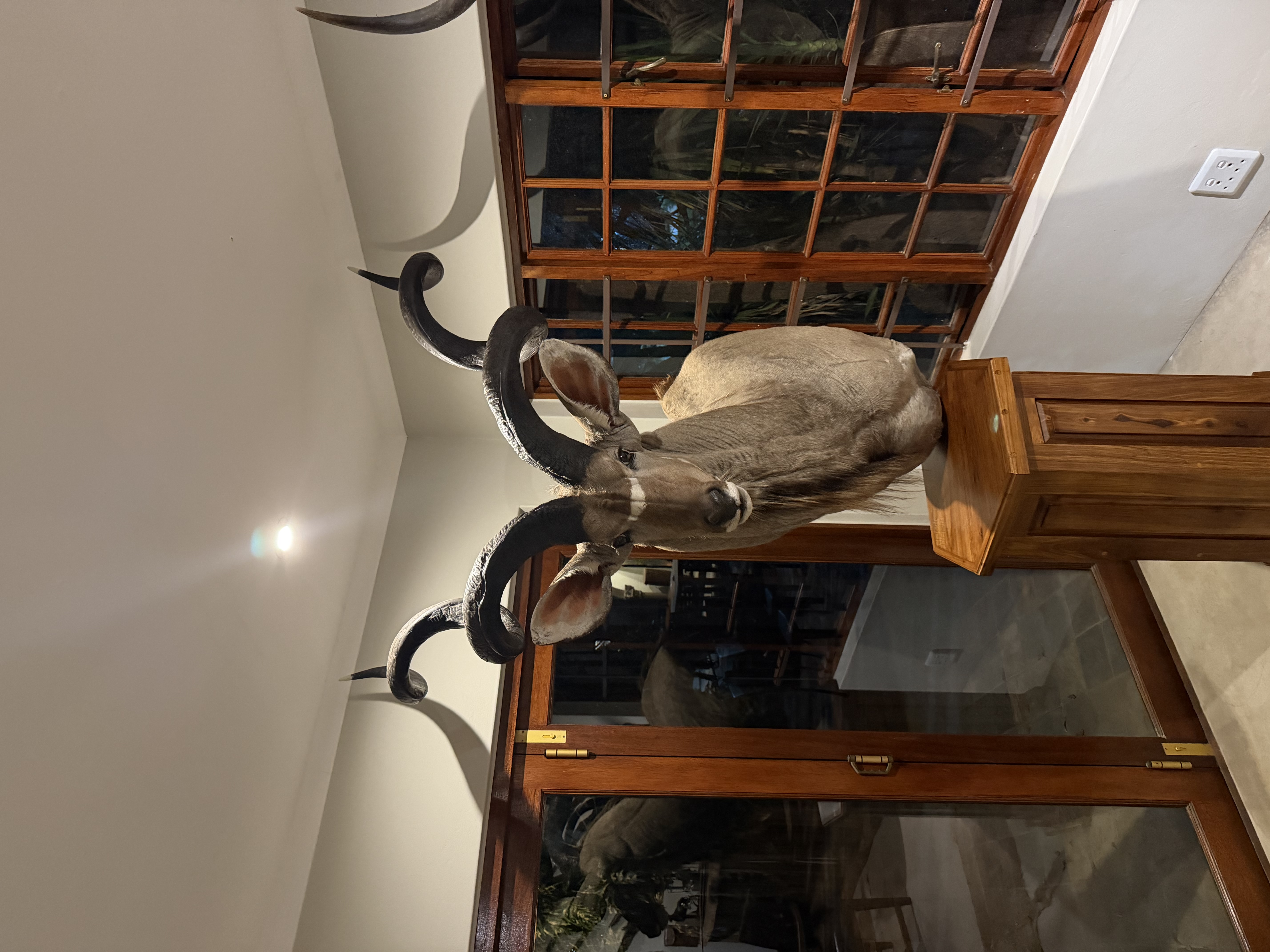 IMG_4078.jpeg