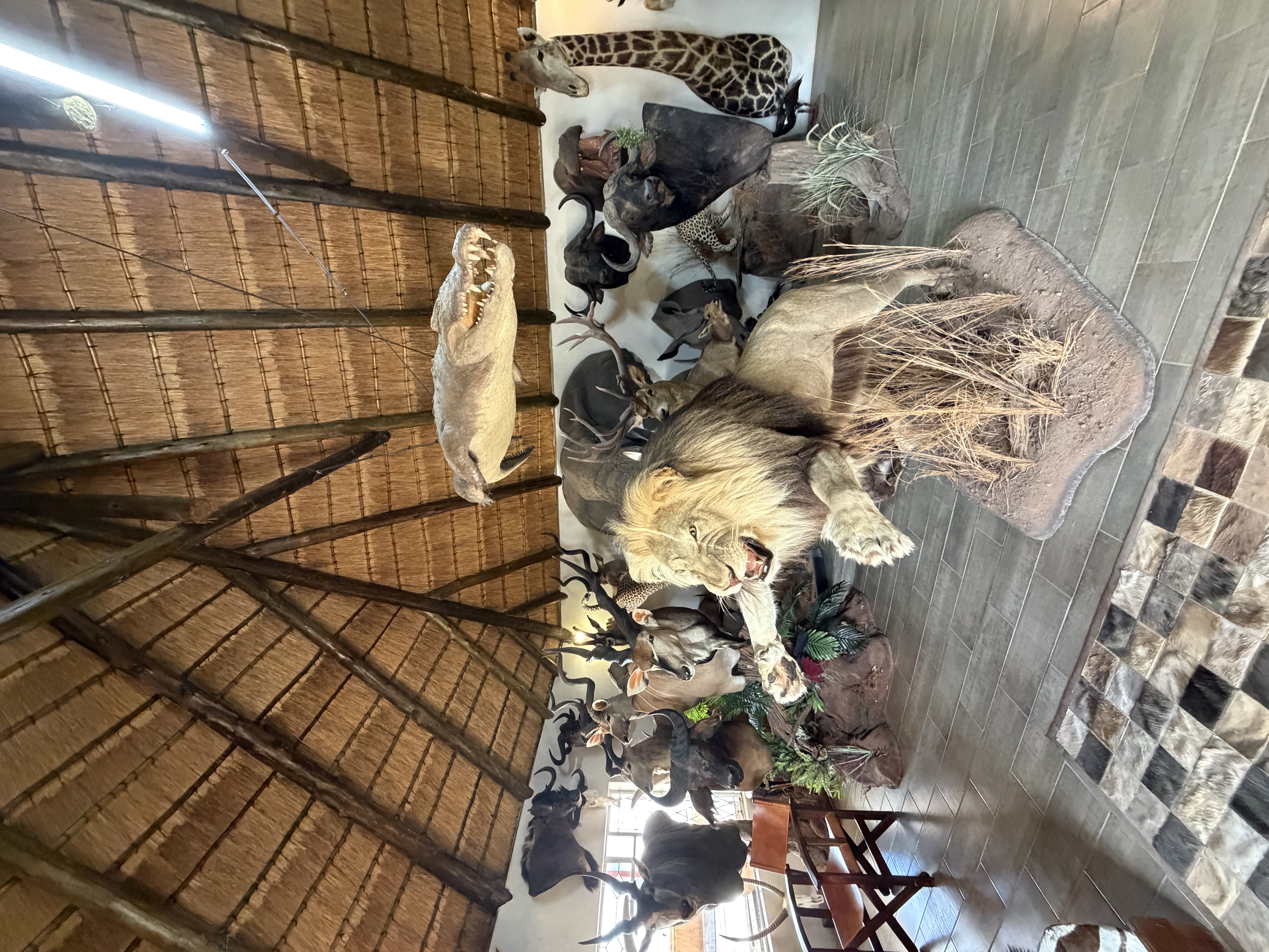 IMG_4093.jpeg