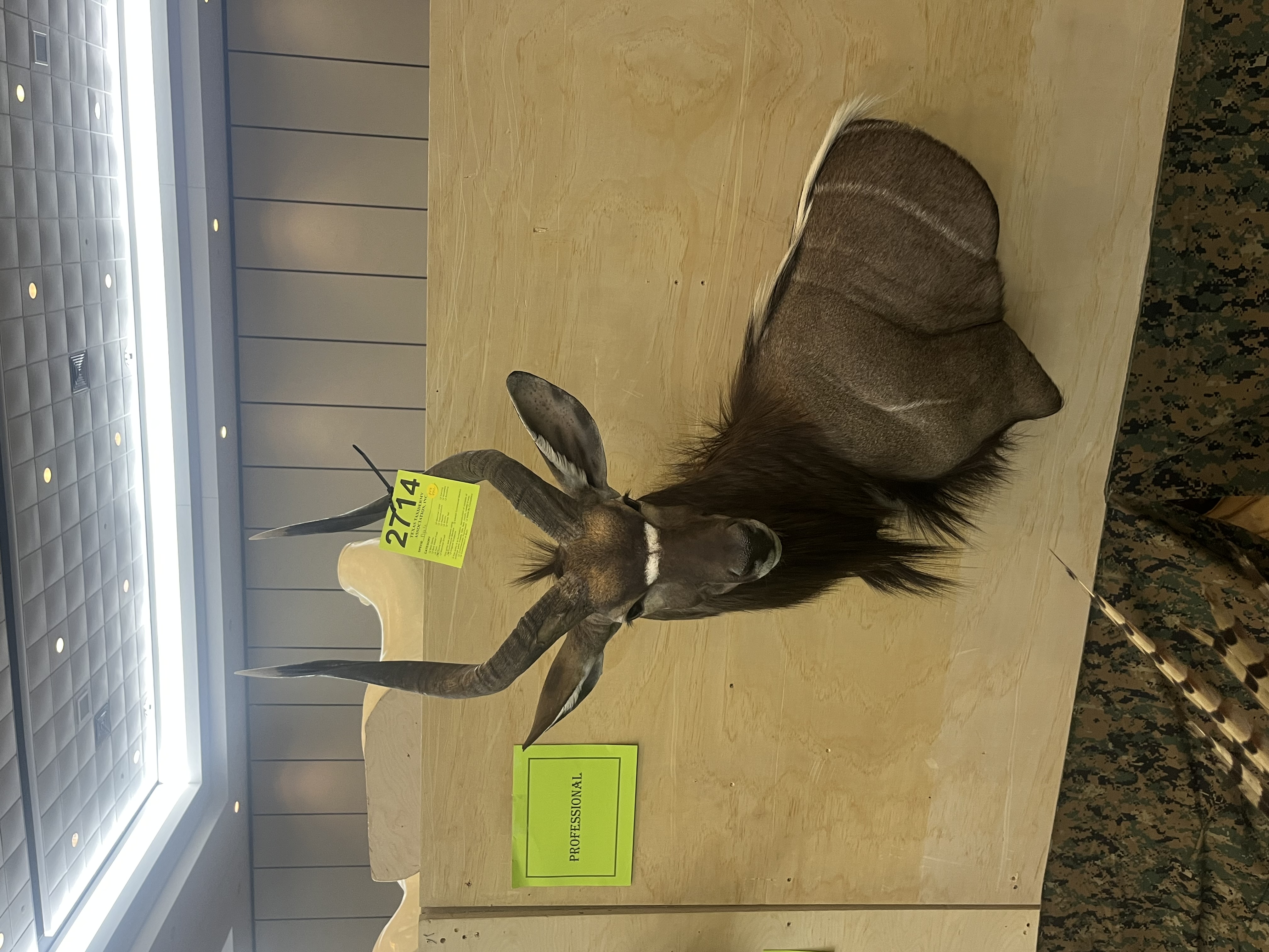 IMG_4097.jpeg