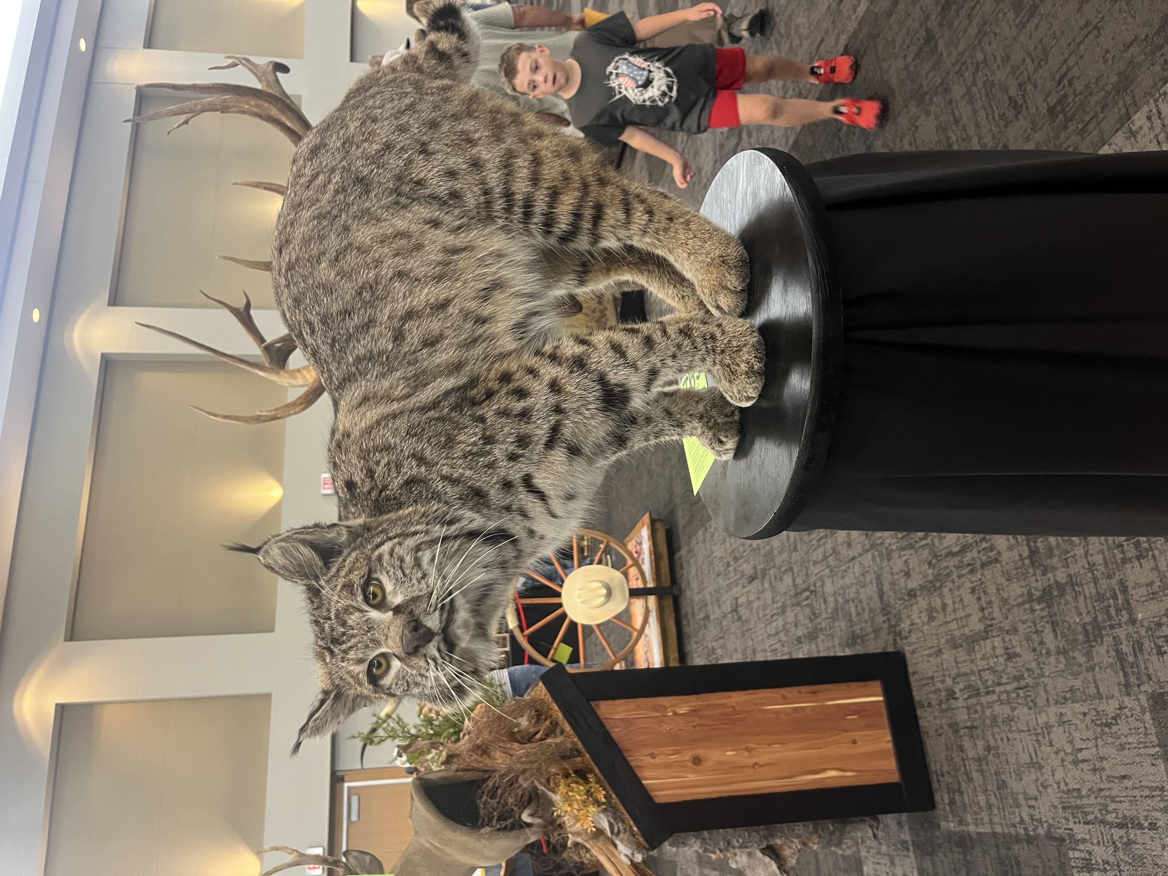 IMG_4107.jpeg
