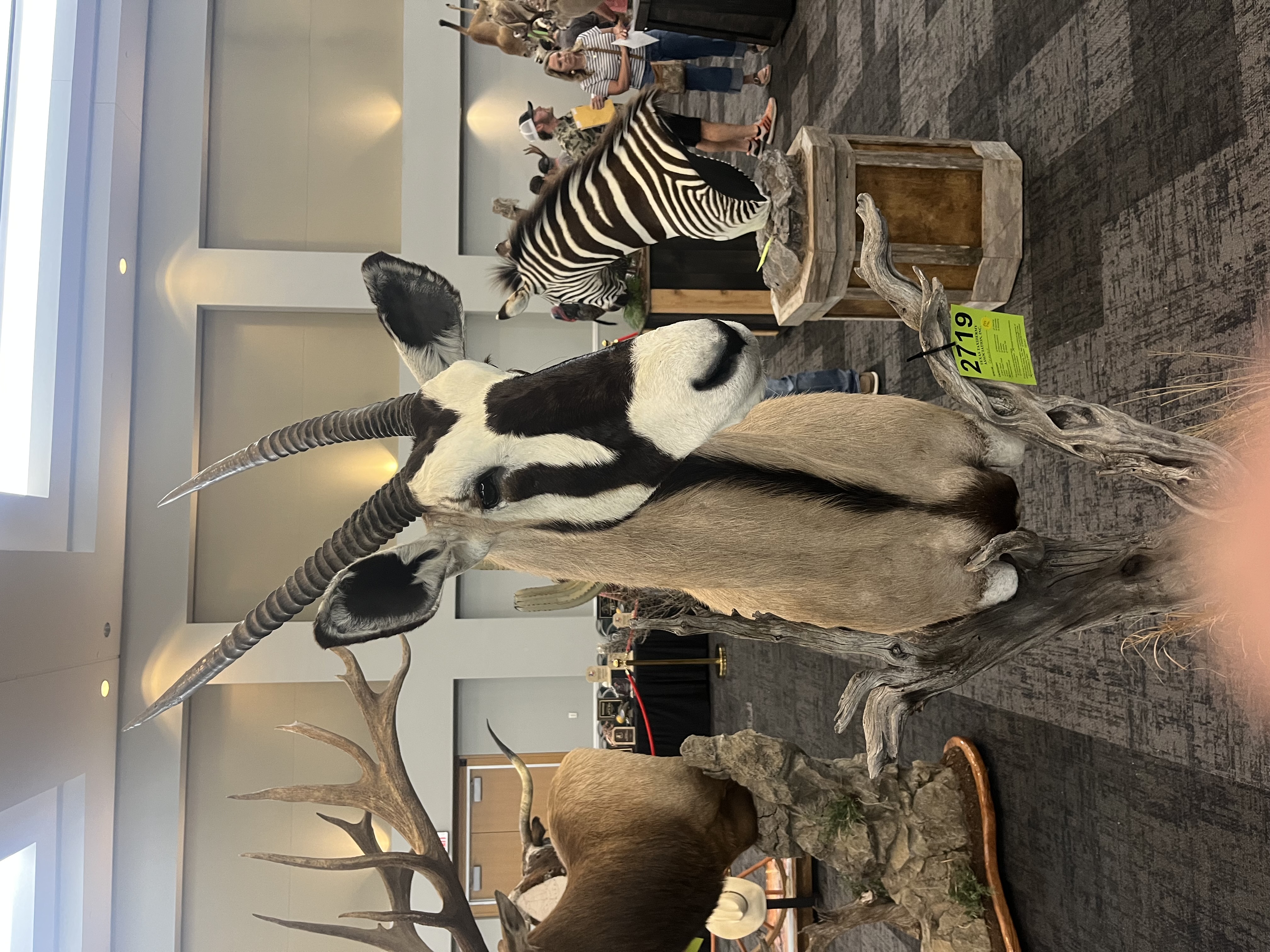 IMG_4108.jpeg
