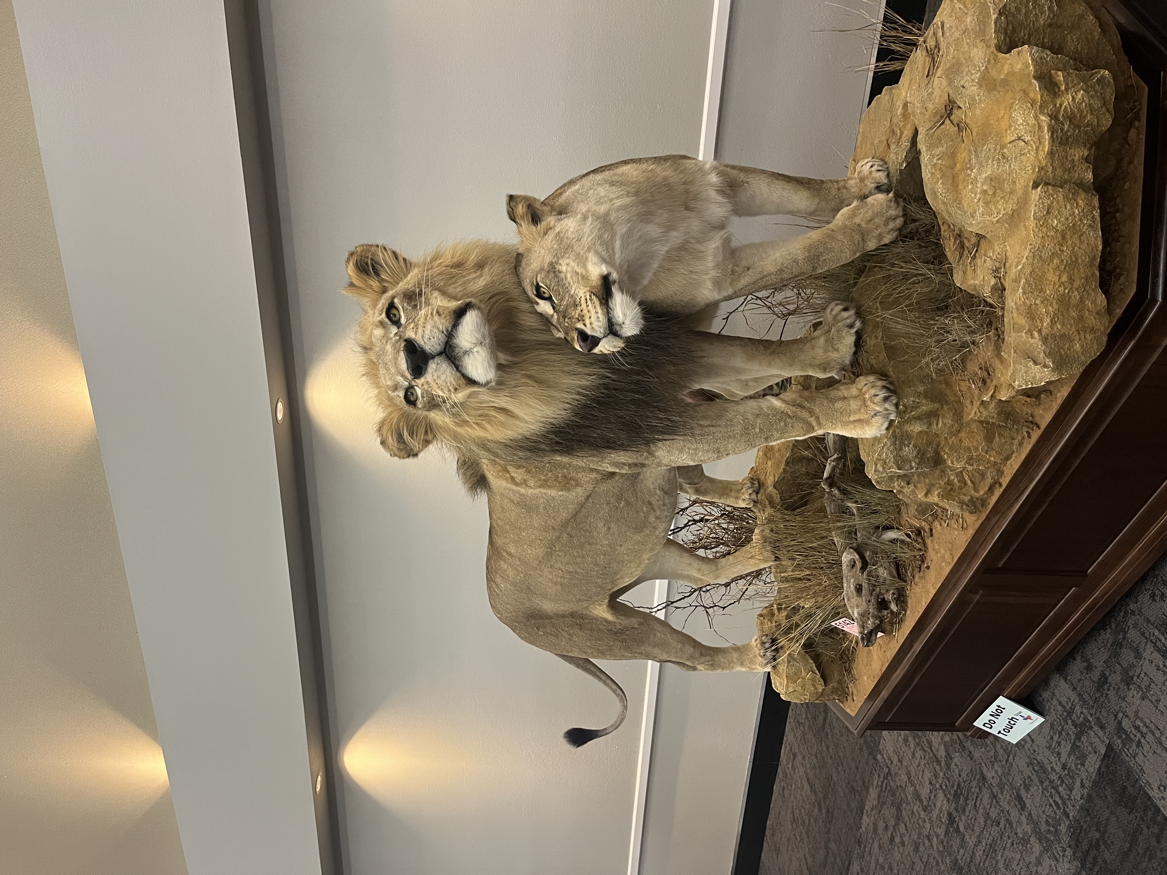 IMG_4119.jpeg