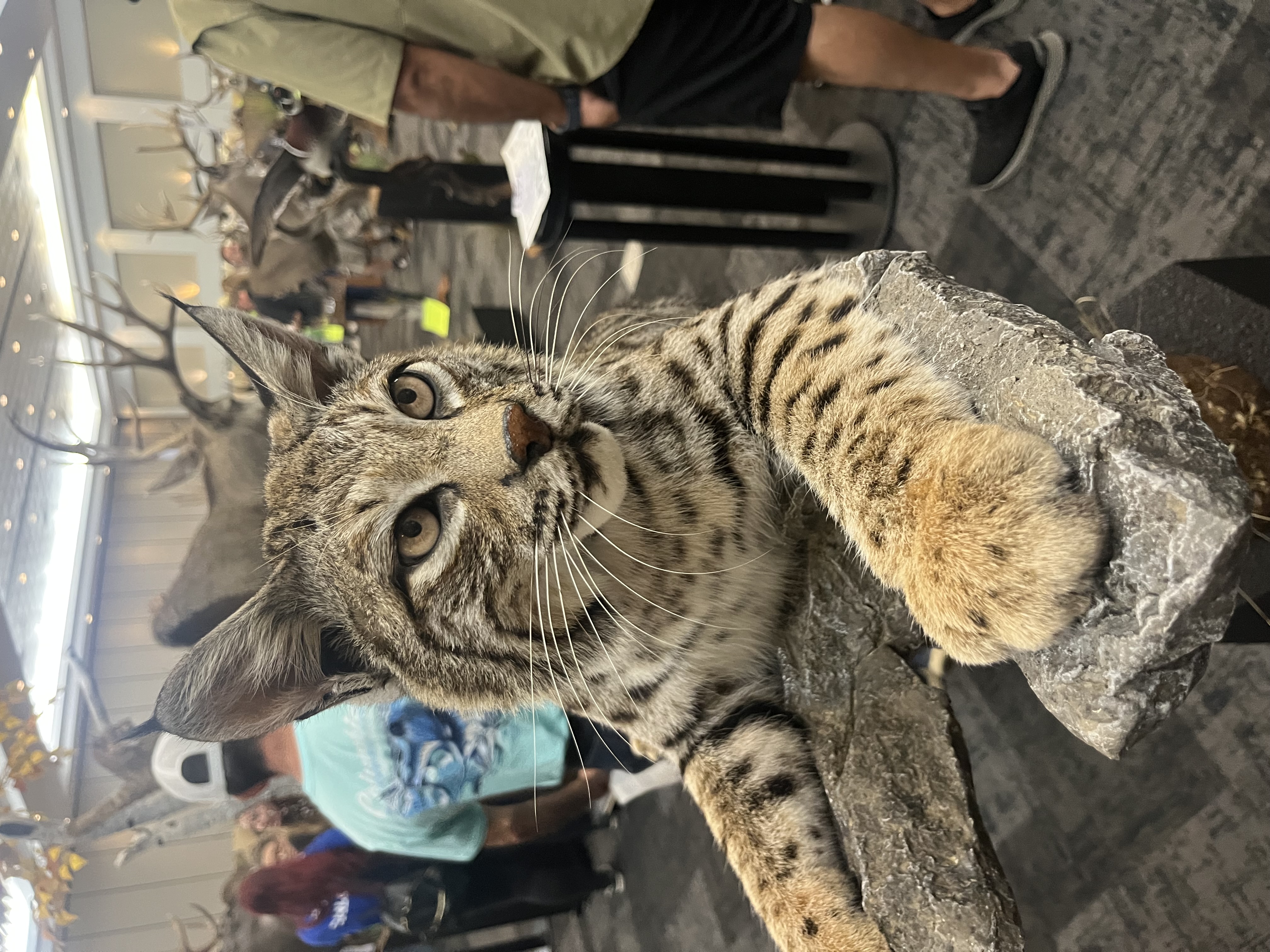 IMG_4122.jpeg
