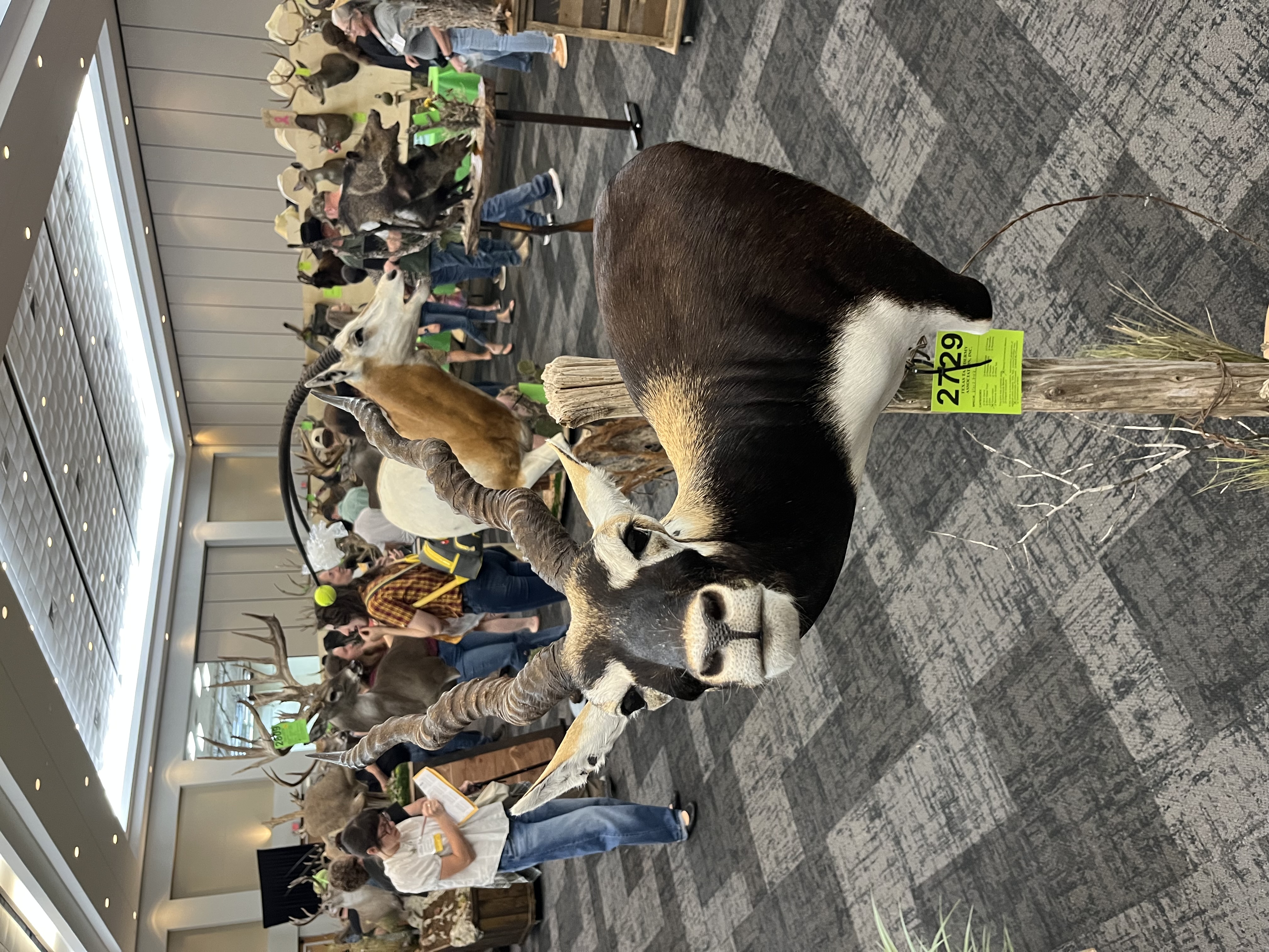 IMG_4136.jpeg