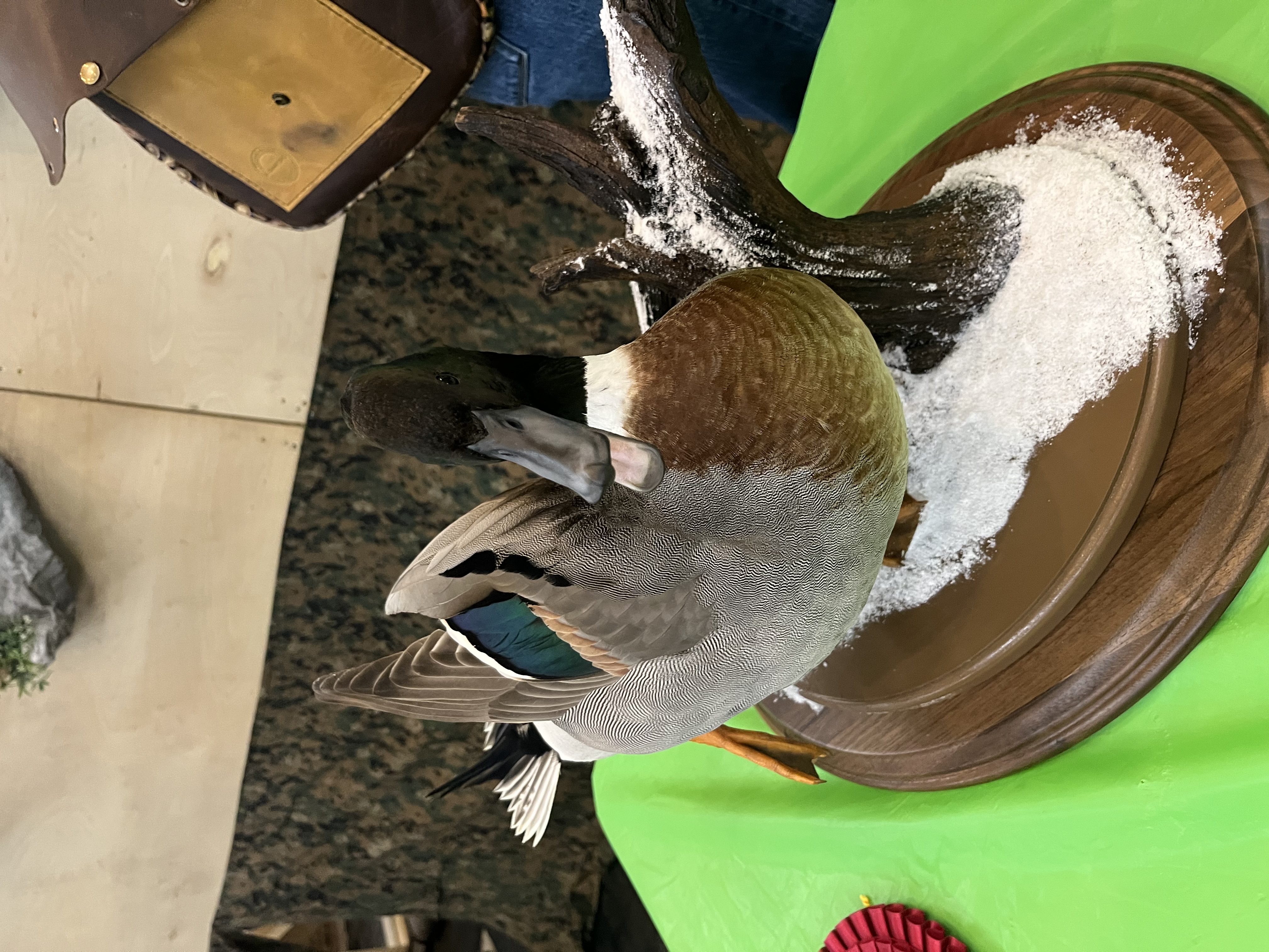 IMG_4152.jpeg