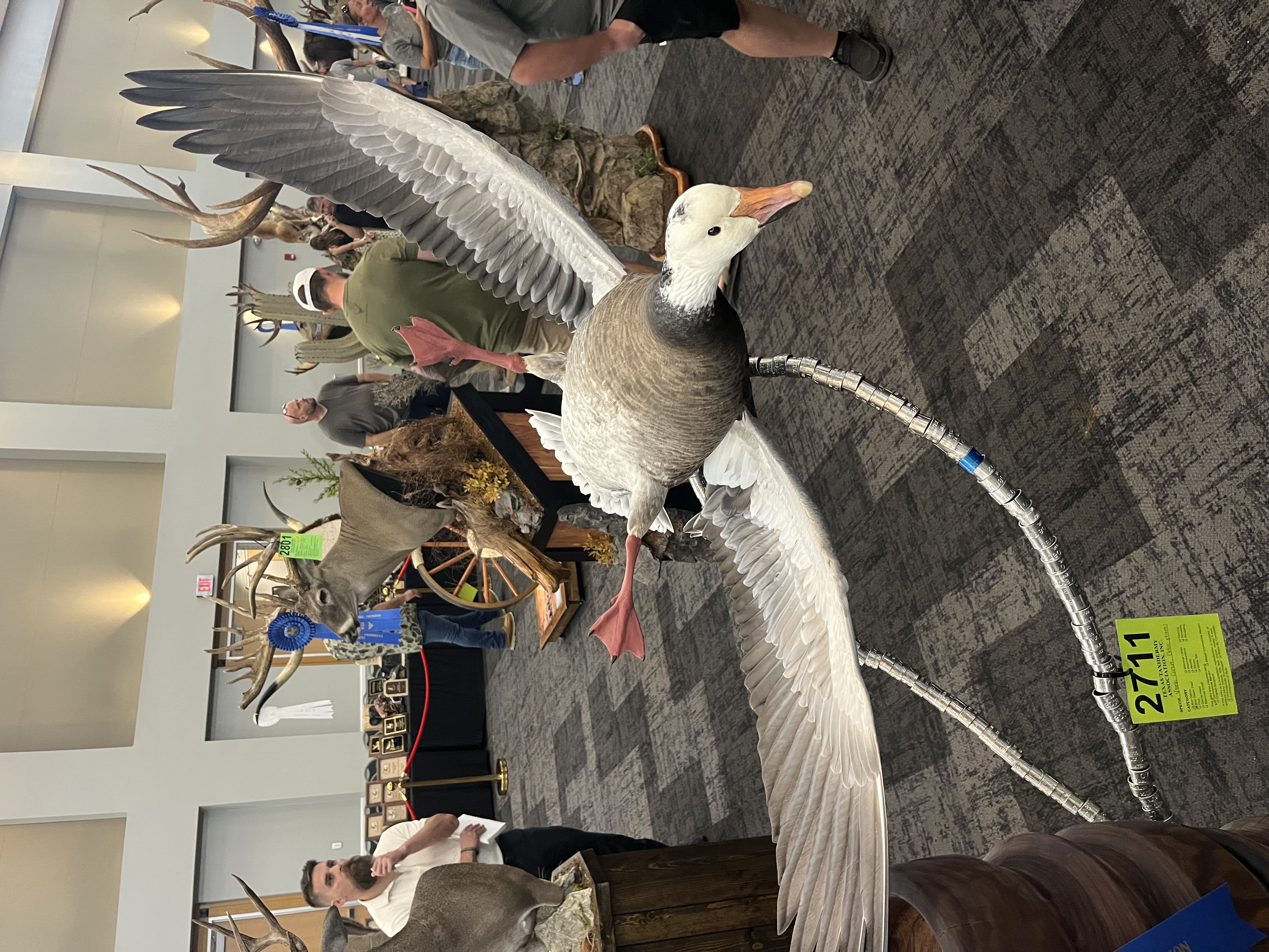 IMG_4153.jpeg