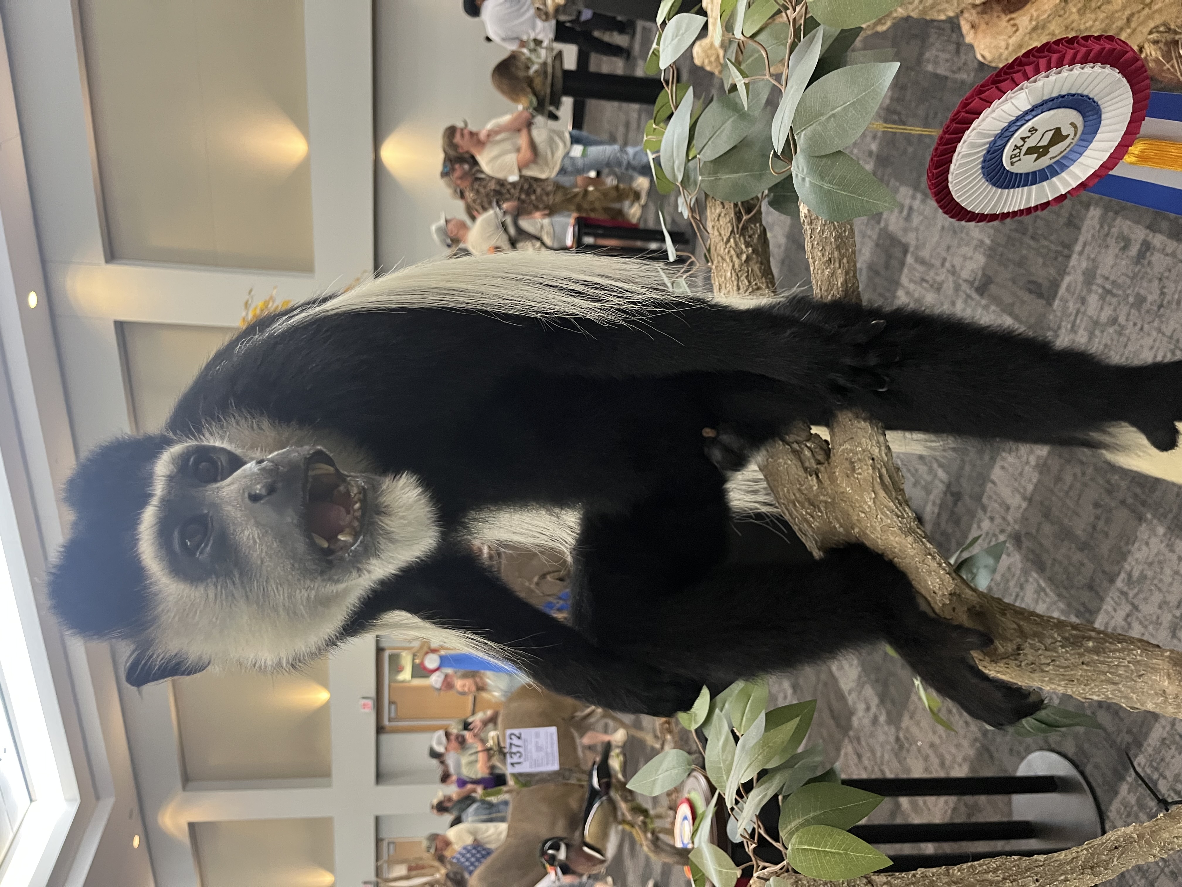 IMG_4158.jpeg